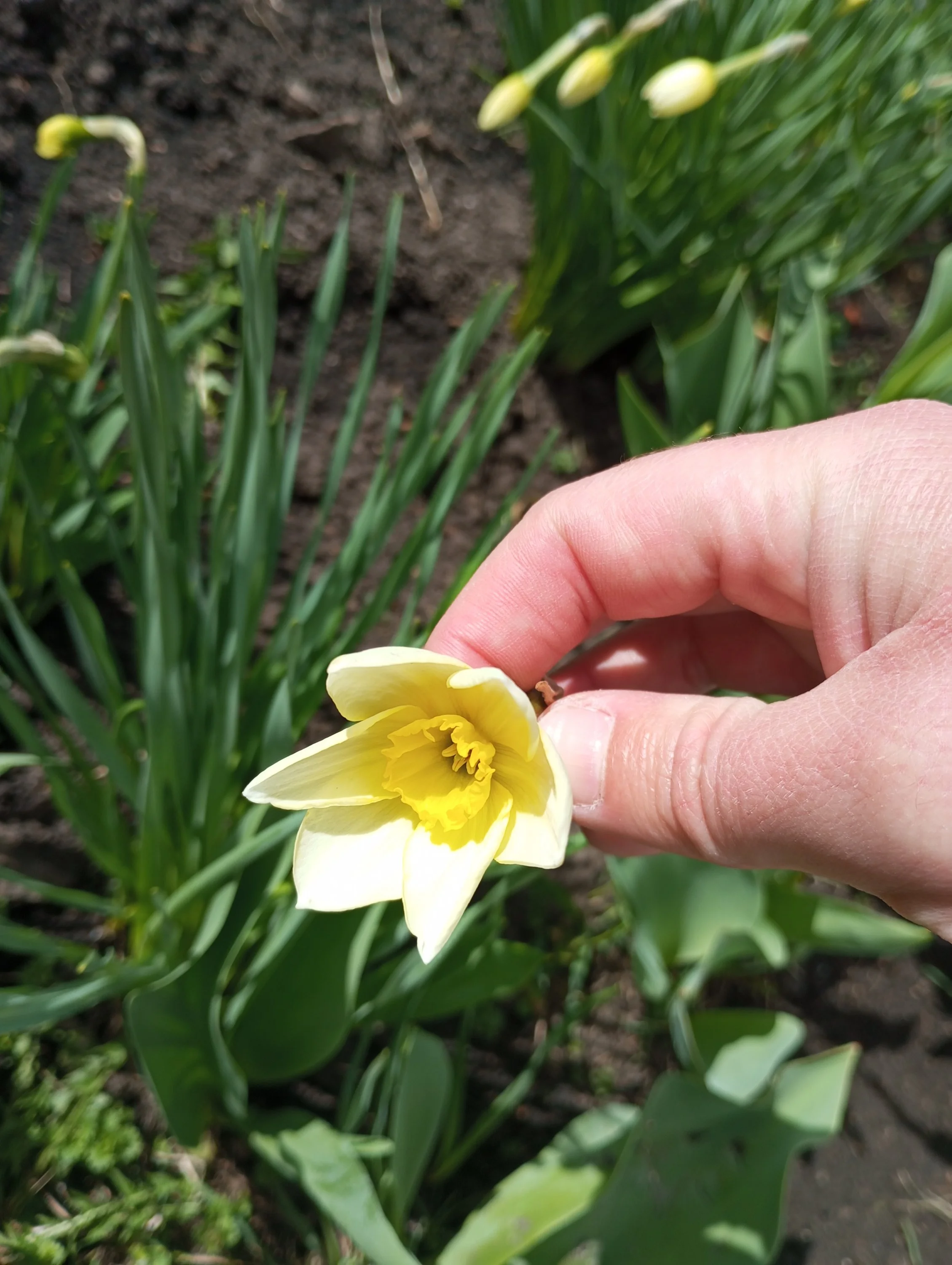 2024-04-20 13-23-48.webp