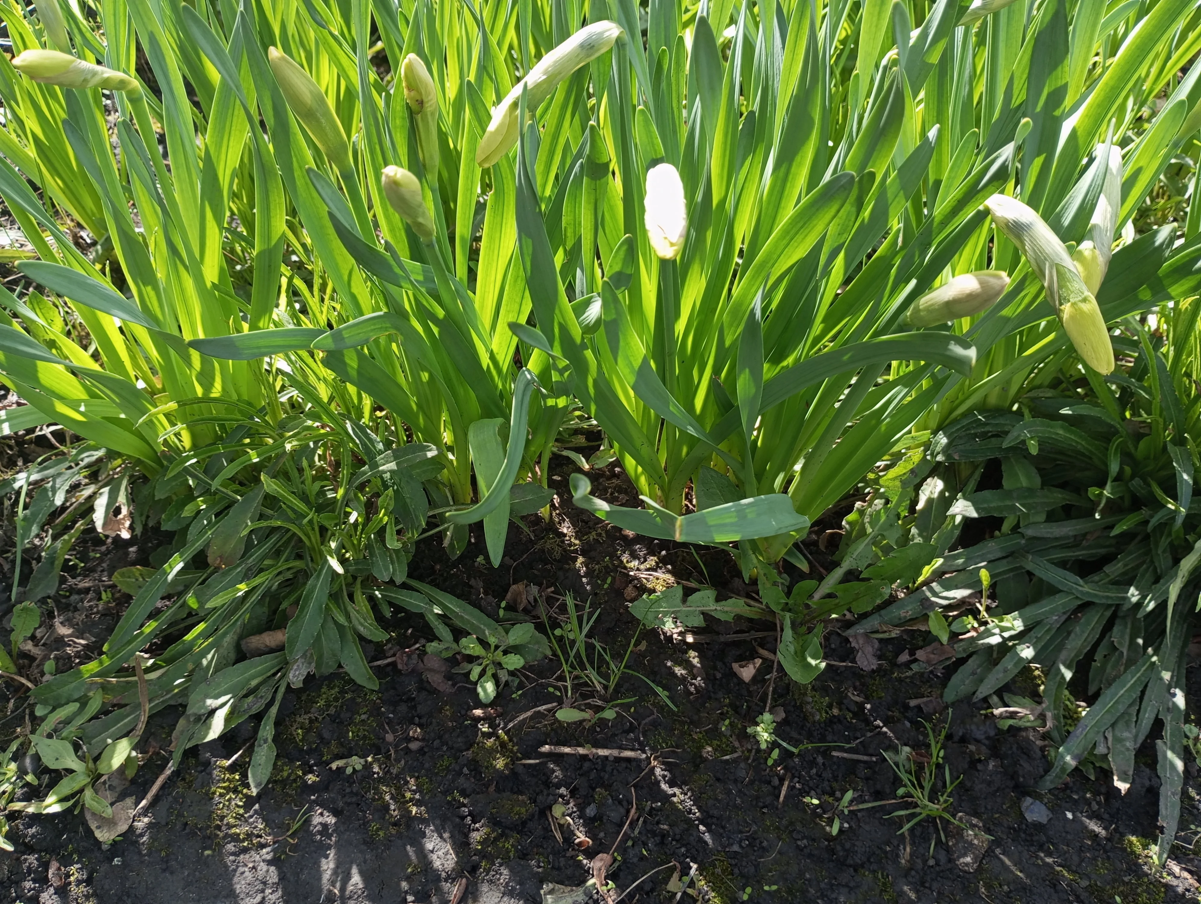 2024-04-20 13-24-08.webp