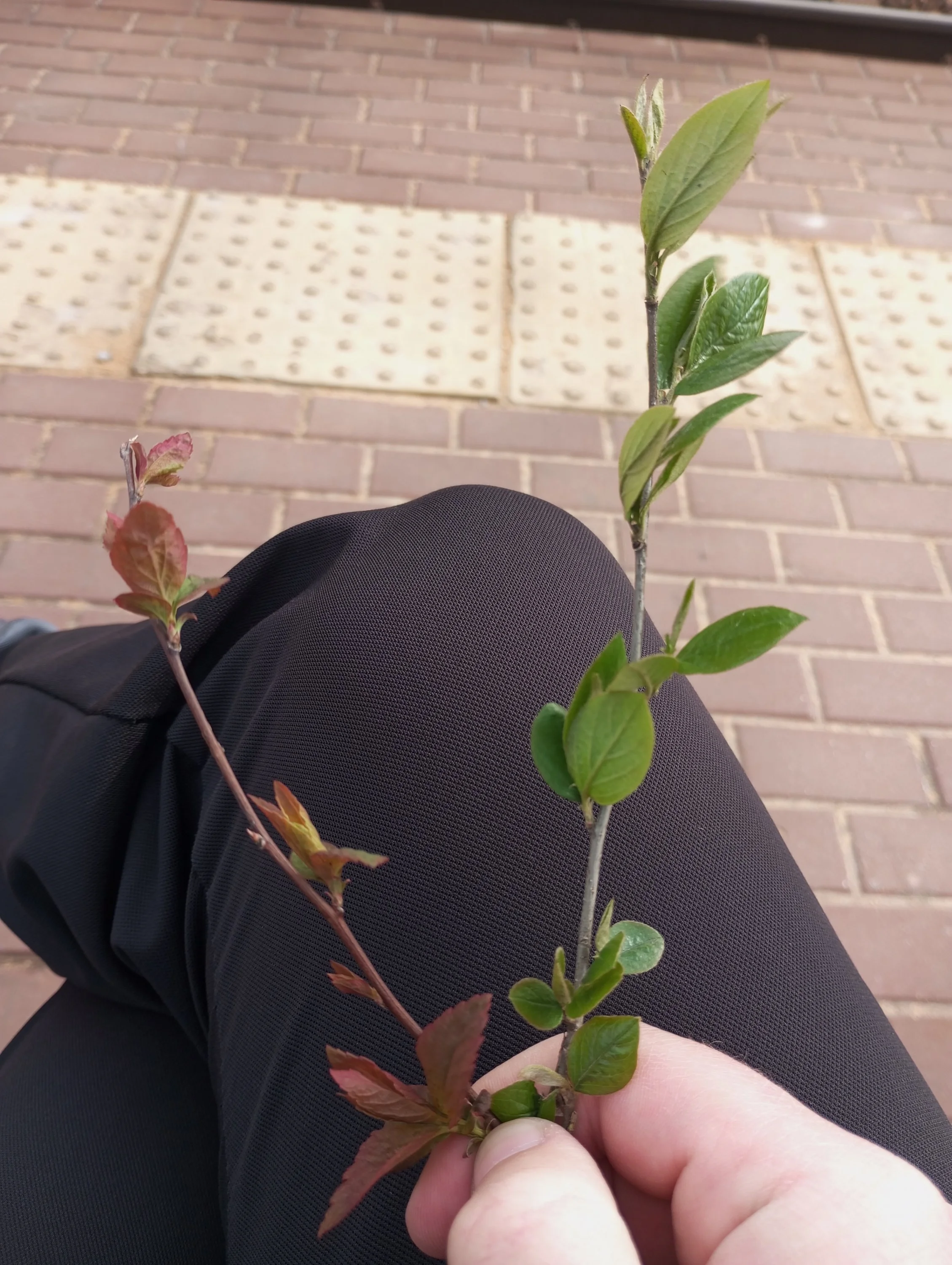 2024-04-21 14-55-06.webp