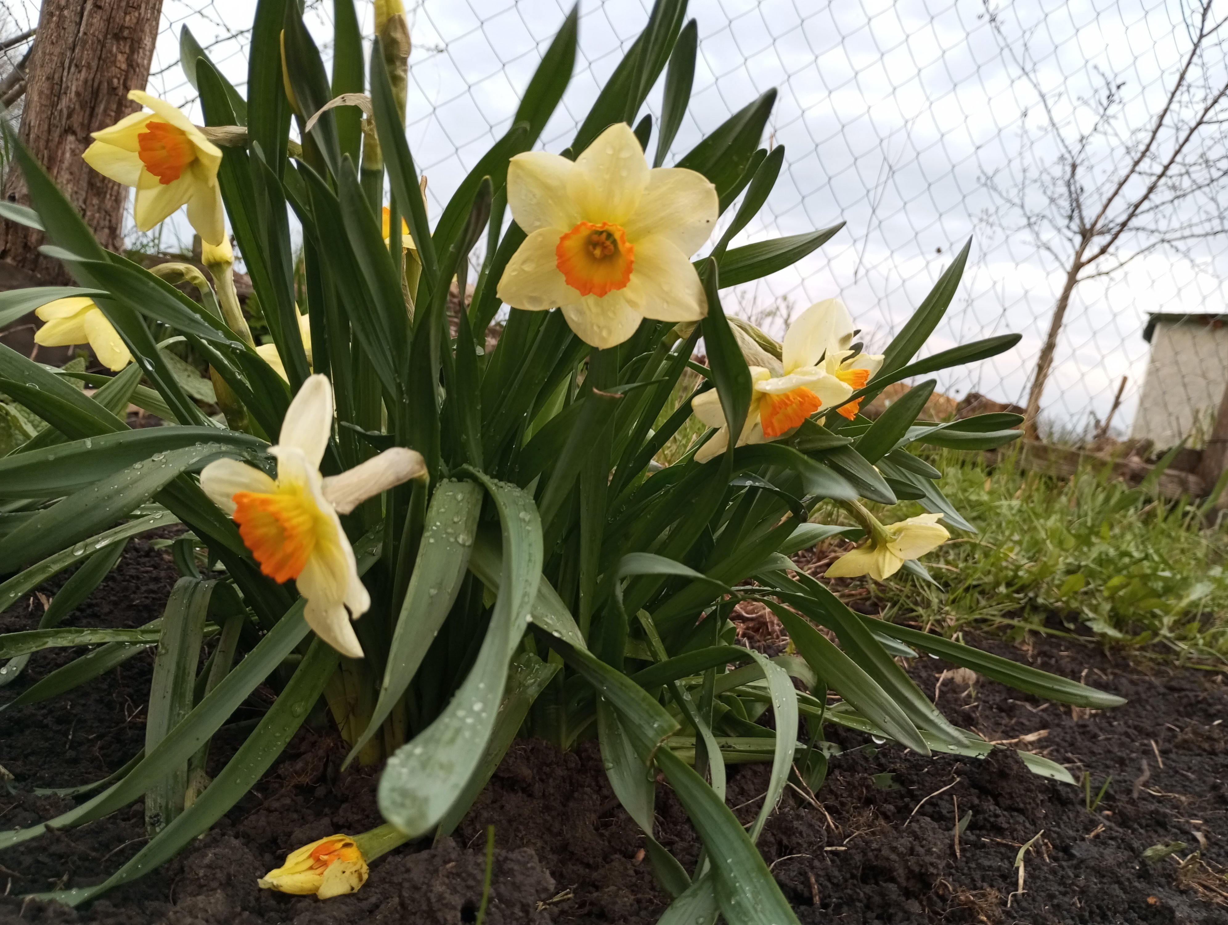 2024-04-21 19-07-28.JPG