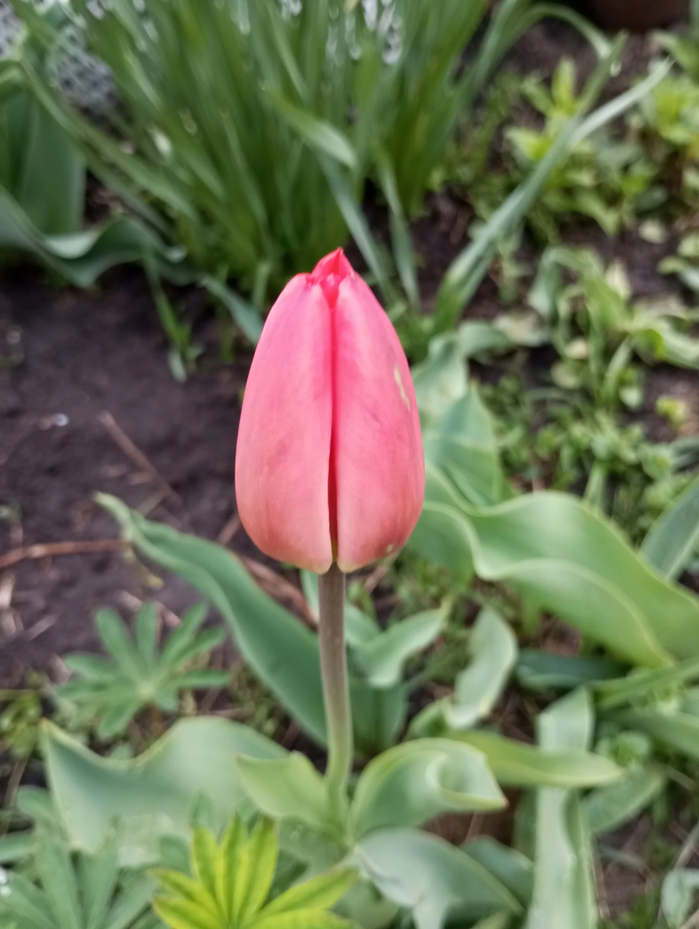 2024-04-21 19-09-06.webp