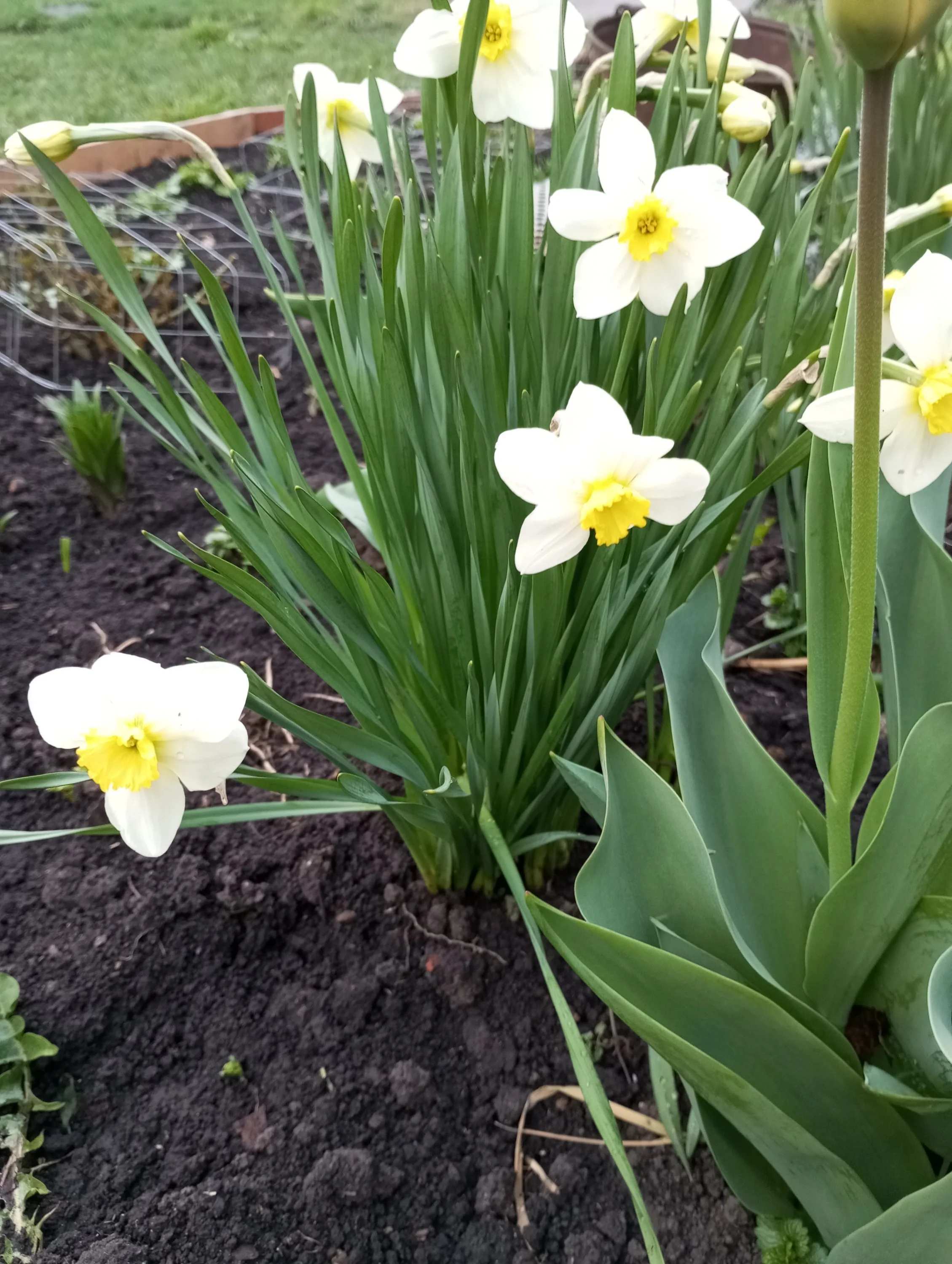 2024-04-21 19-09-18.JPG