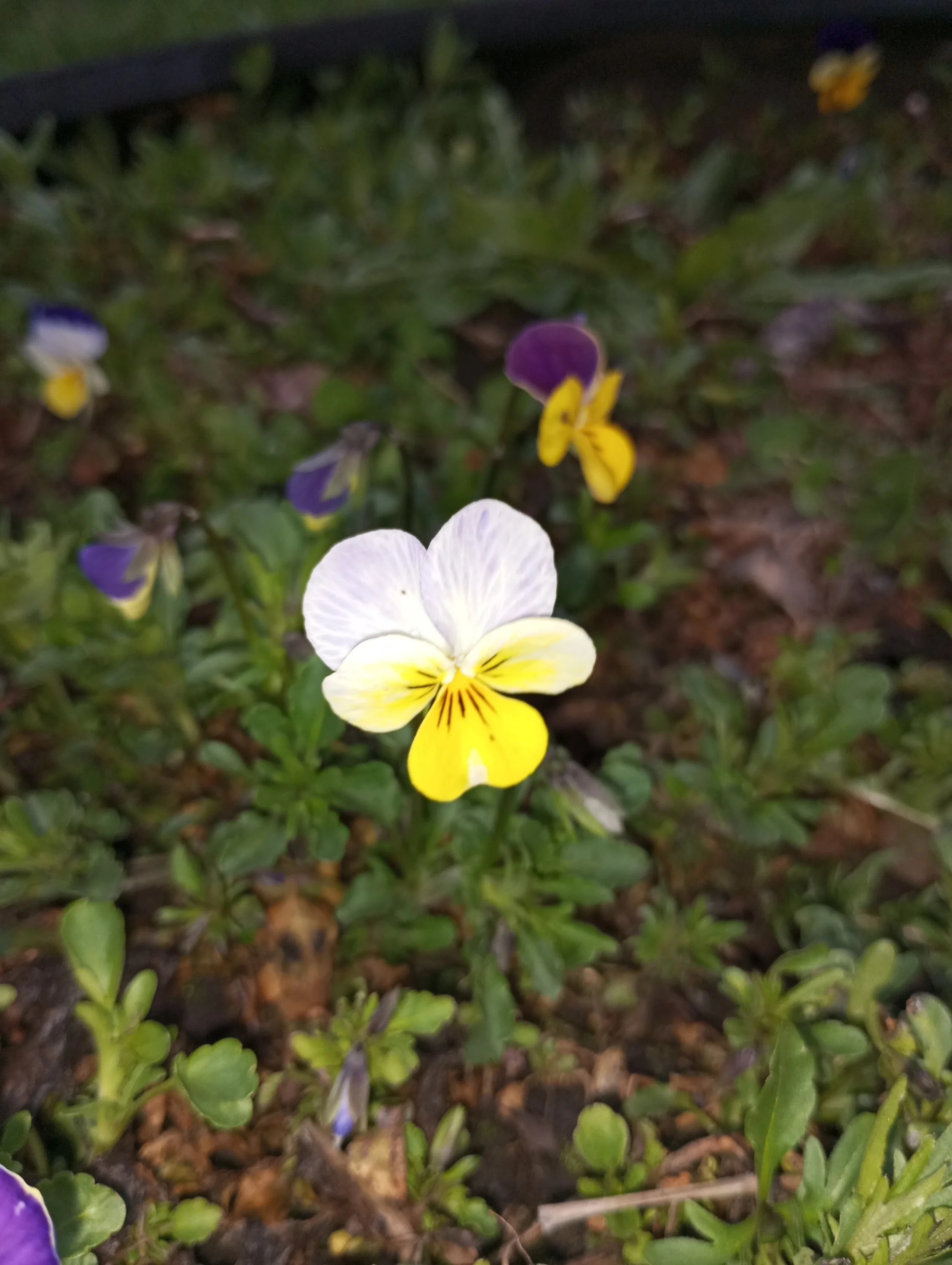 2024-04-21 19-10-41.webp