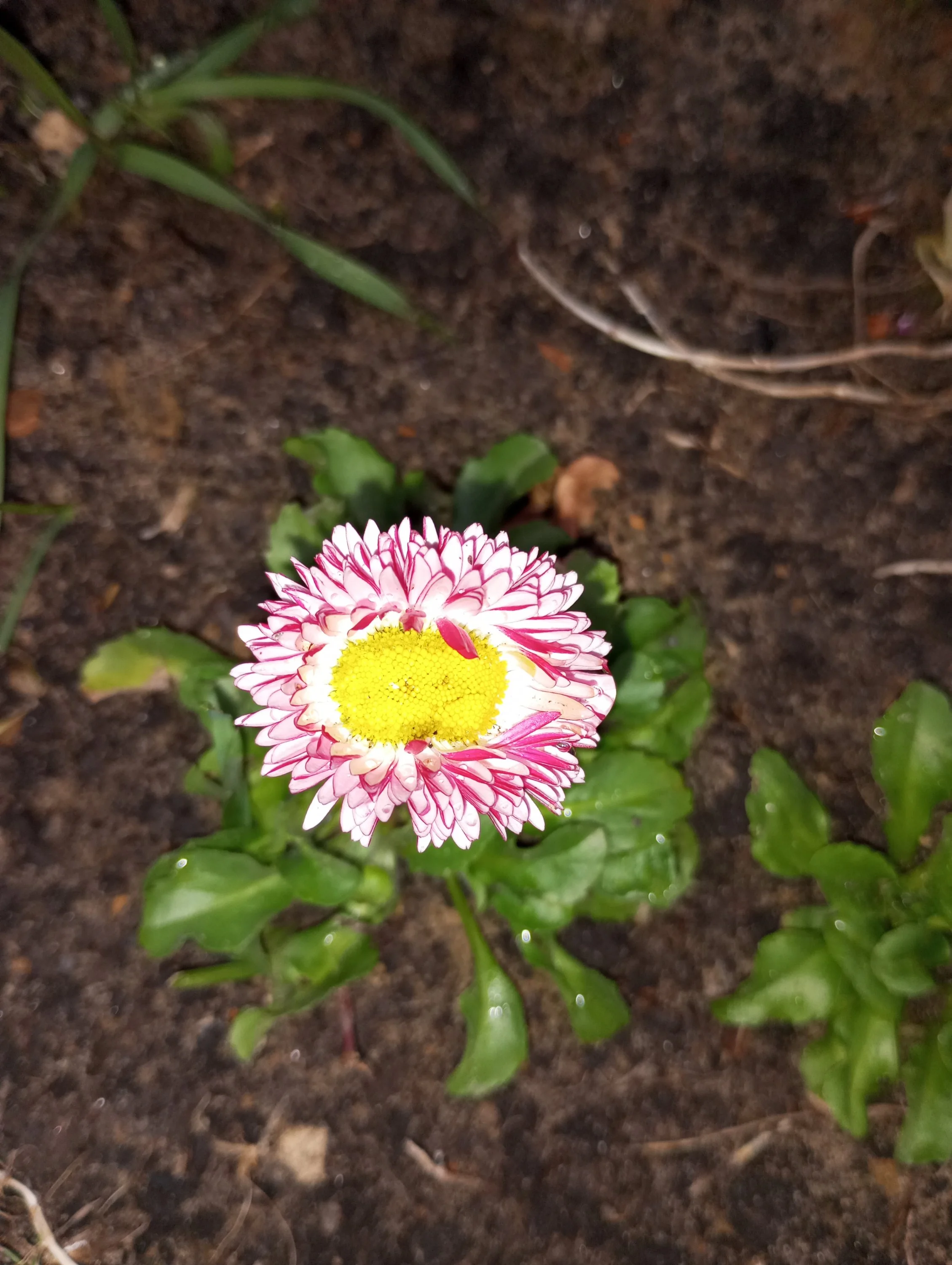 2024-04-21 19-11-21.webp