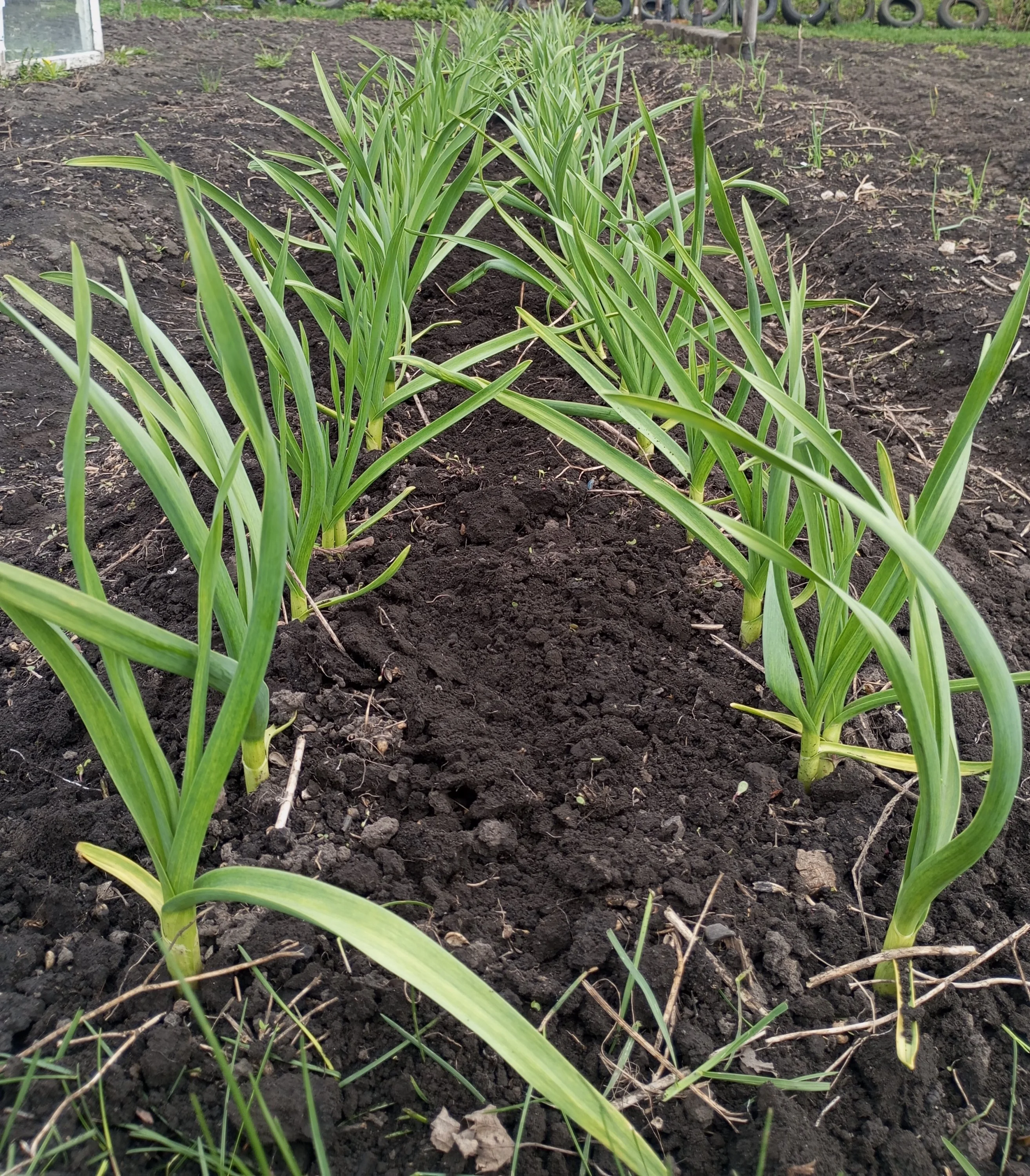 2024-04-23 15-54-00.webp