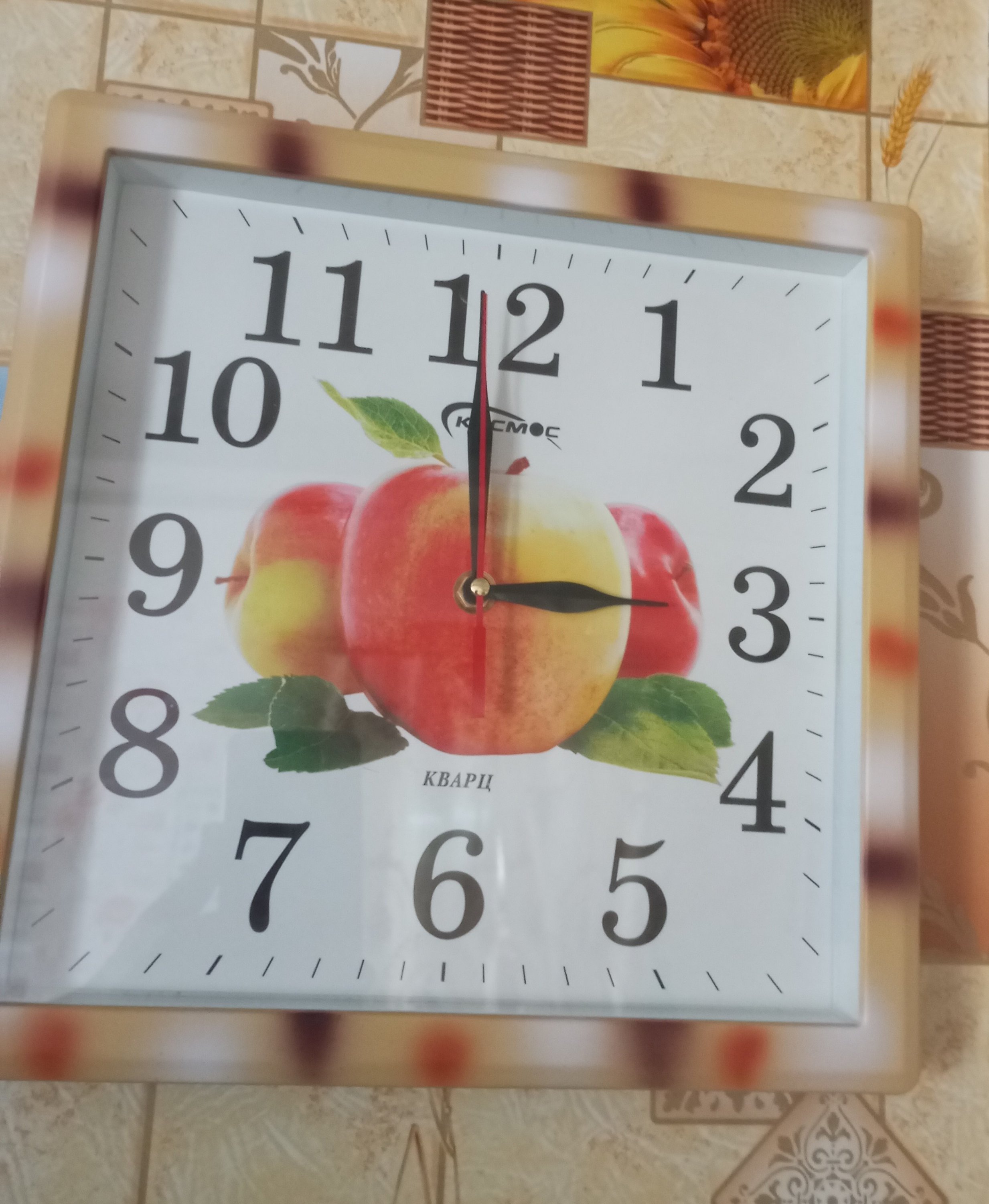 2024-04-24 14-59-24.JPG