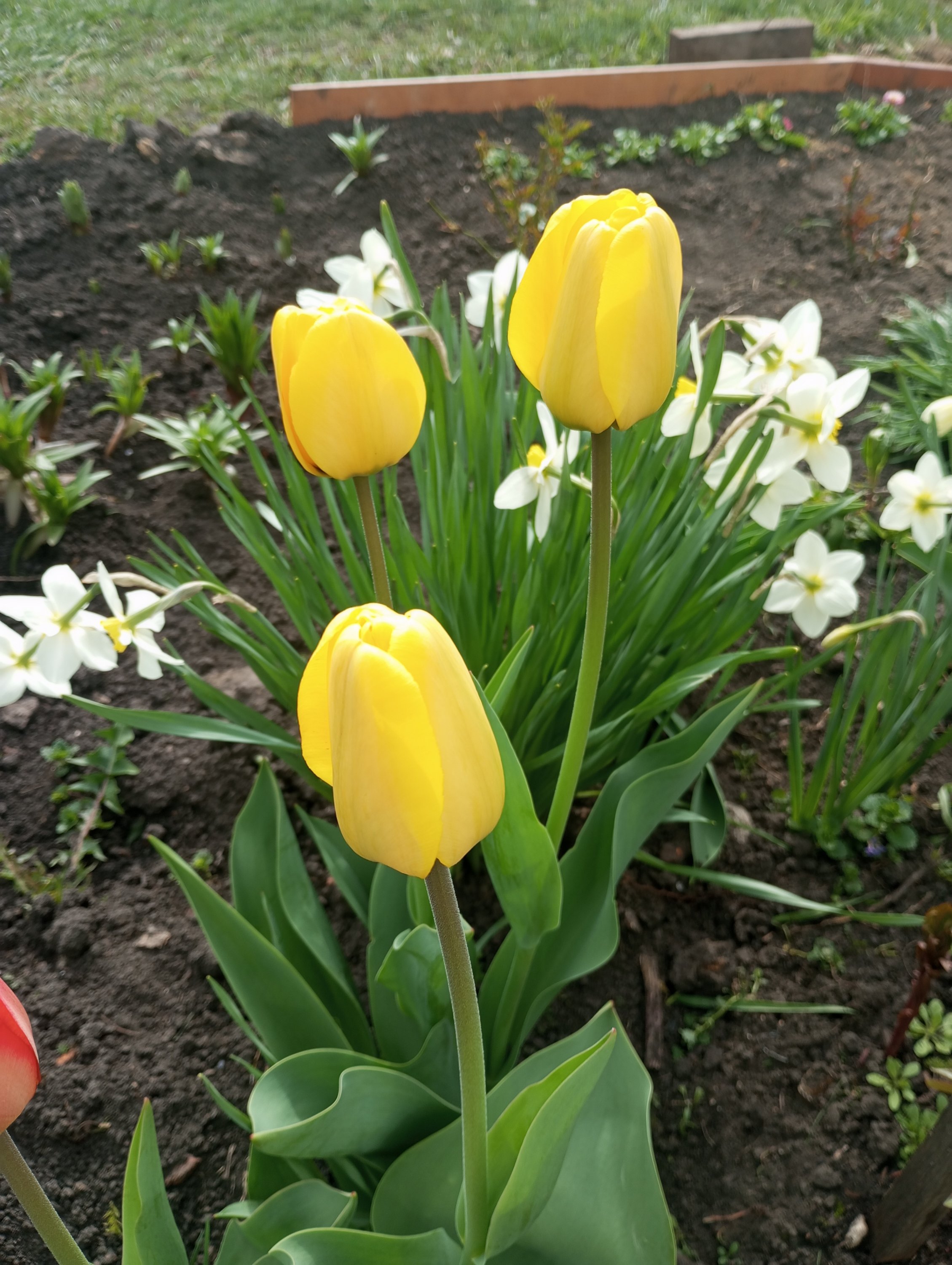 2024-04-24 15-35-19.JPG