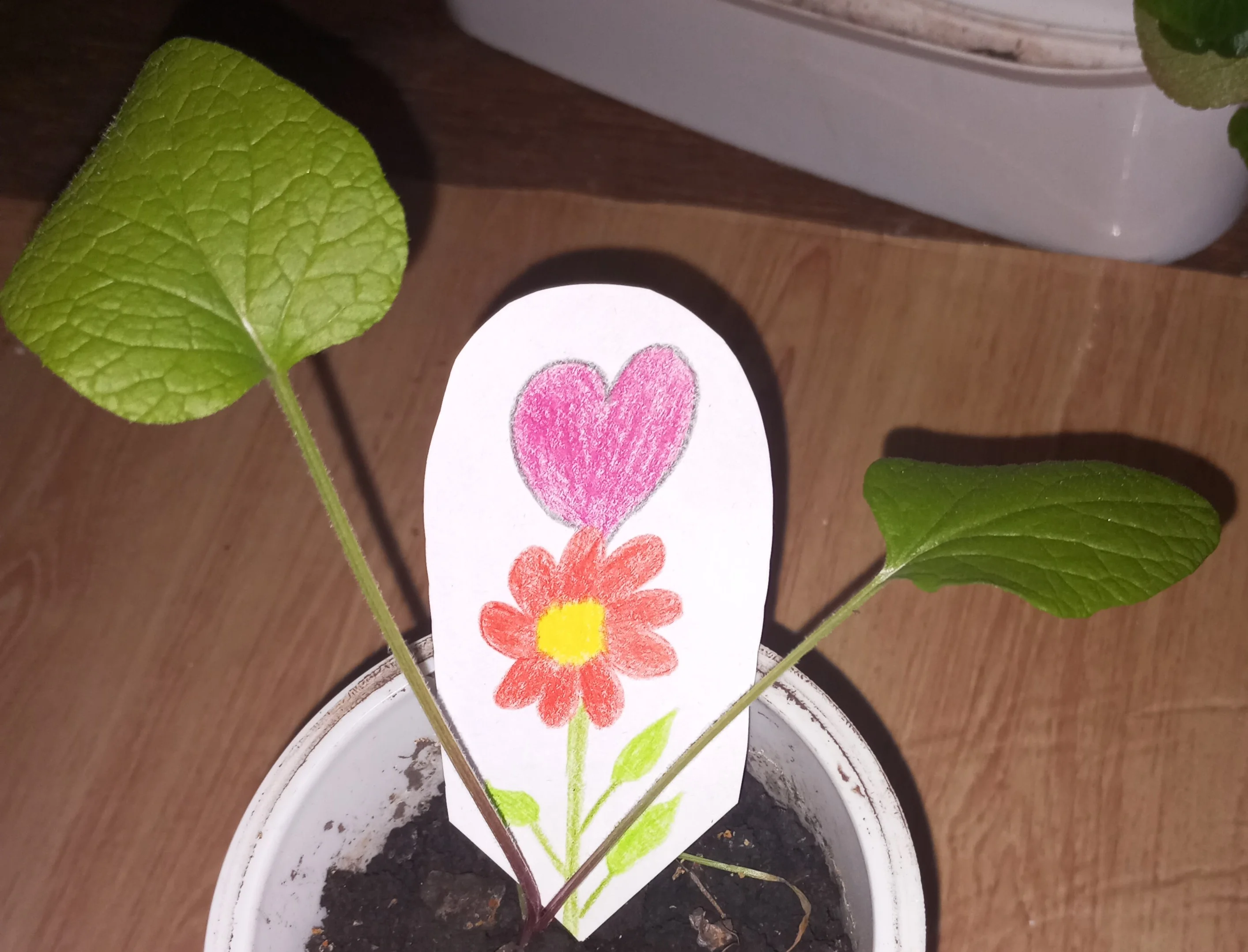 2024-04-24 17-58-51.webp