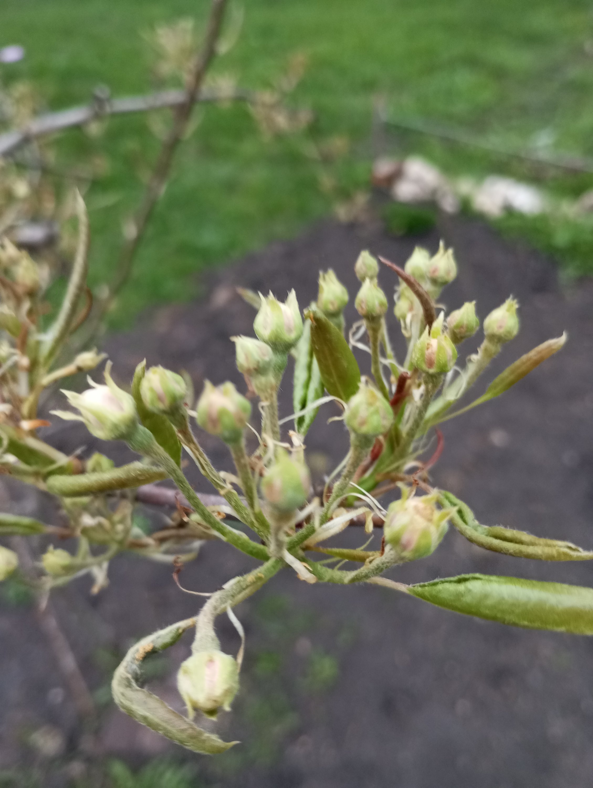 2024-04-24 18-59-59.JPG