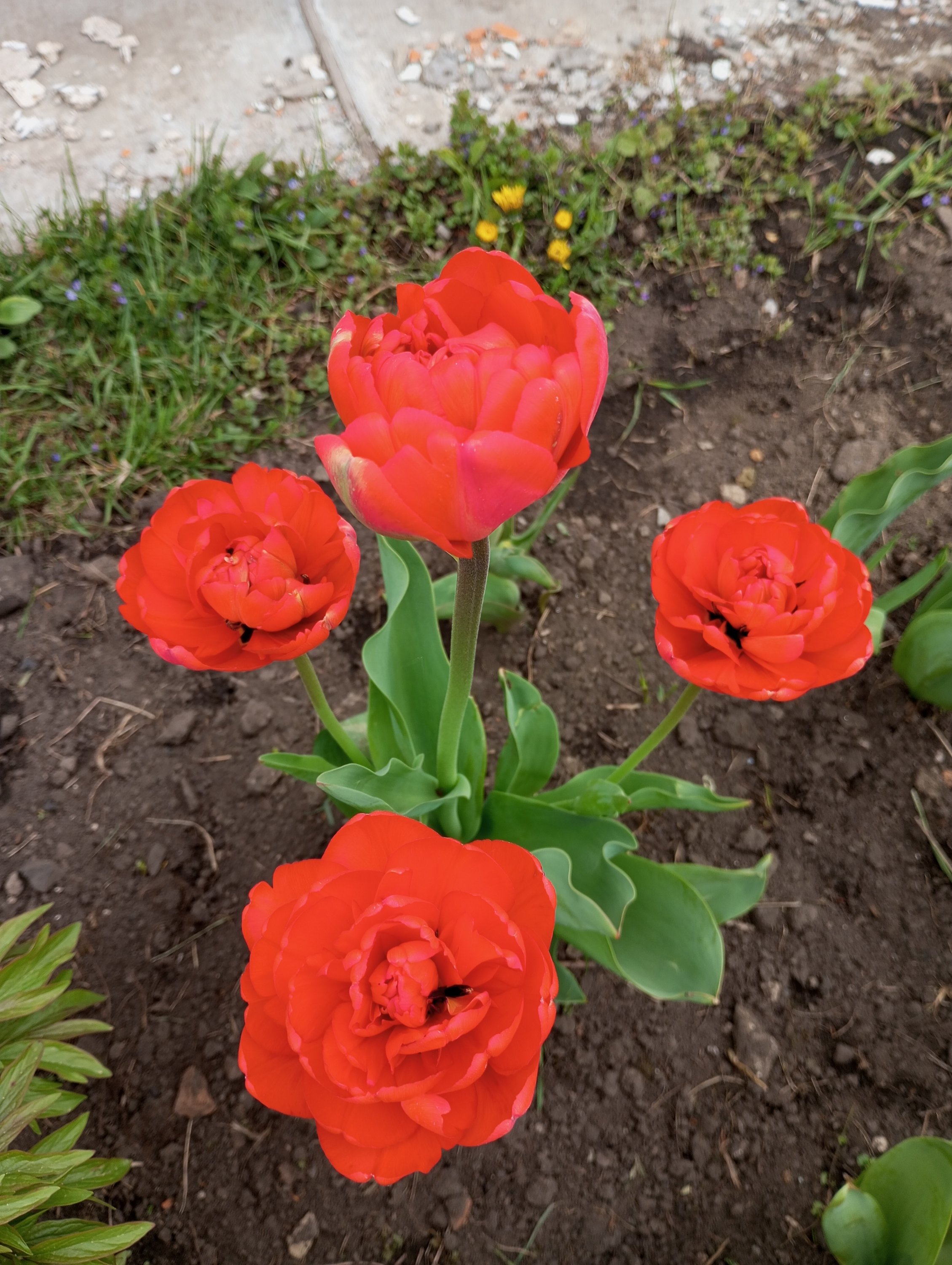 2024-04-26 08-46-09.JPG