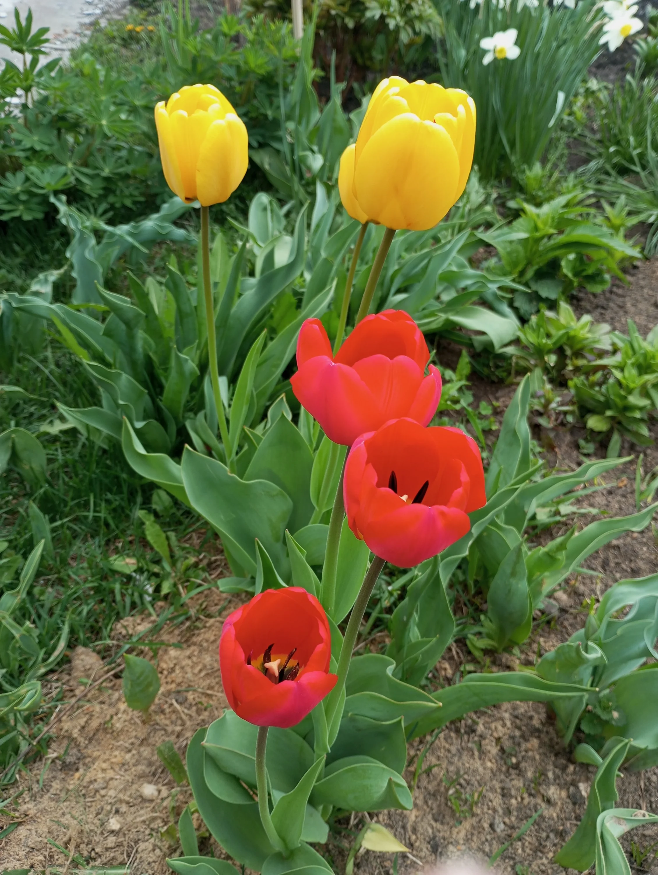 2024-04-26 08-46-19.webp