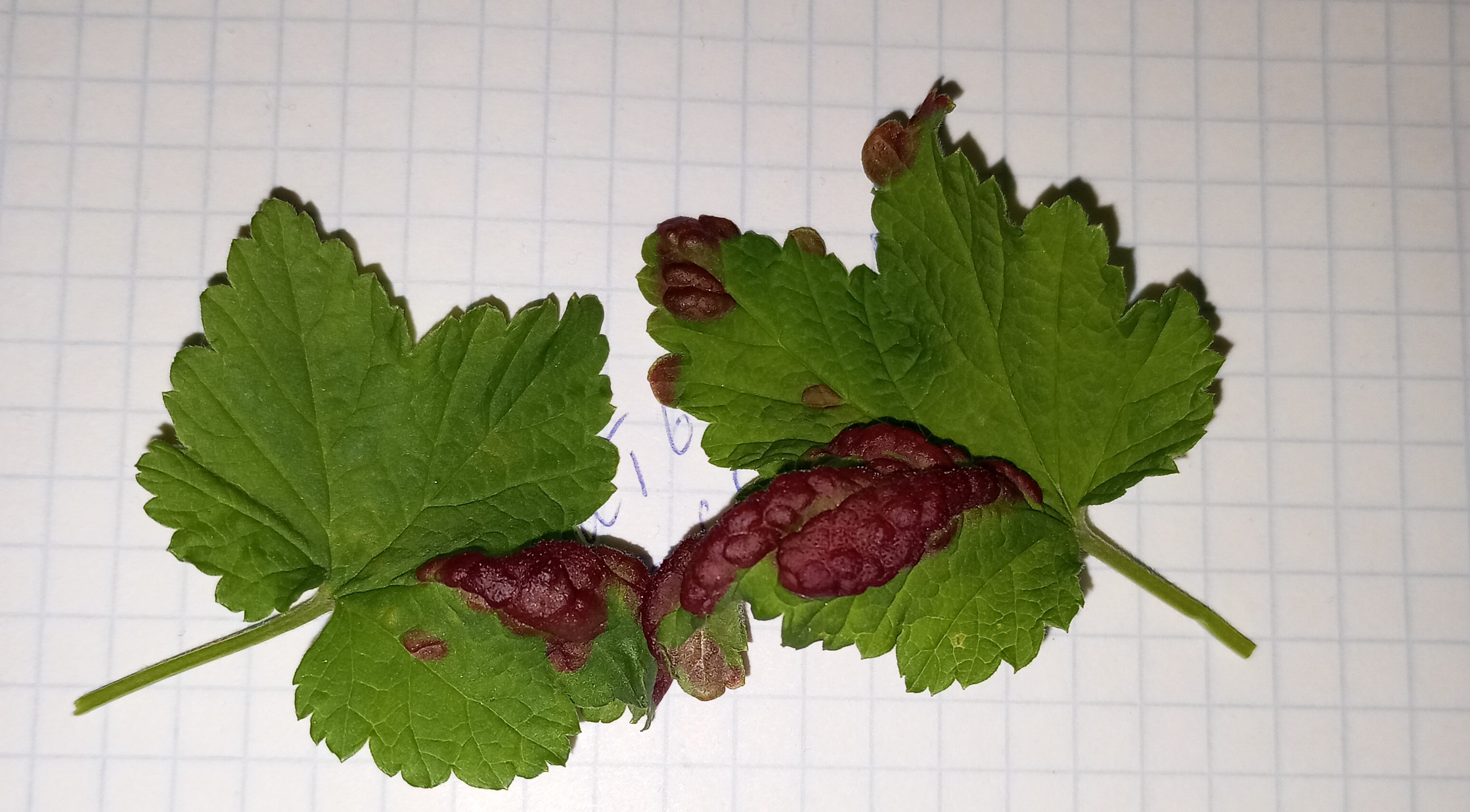 2024-04-26 10-32-03.JPG