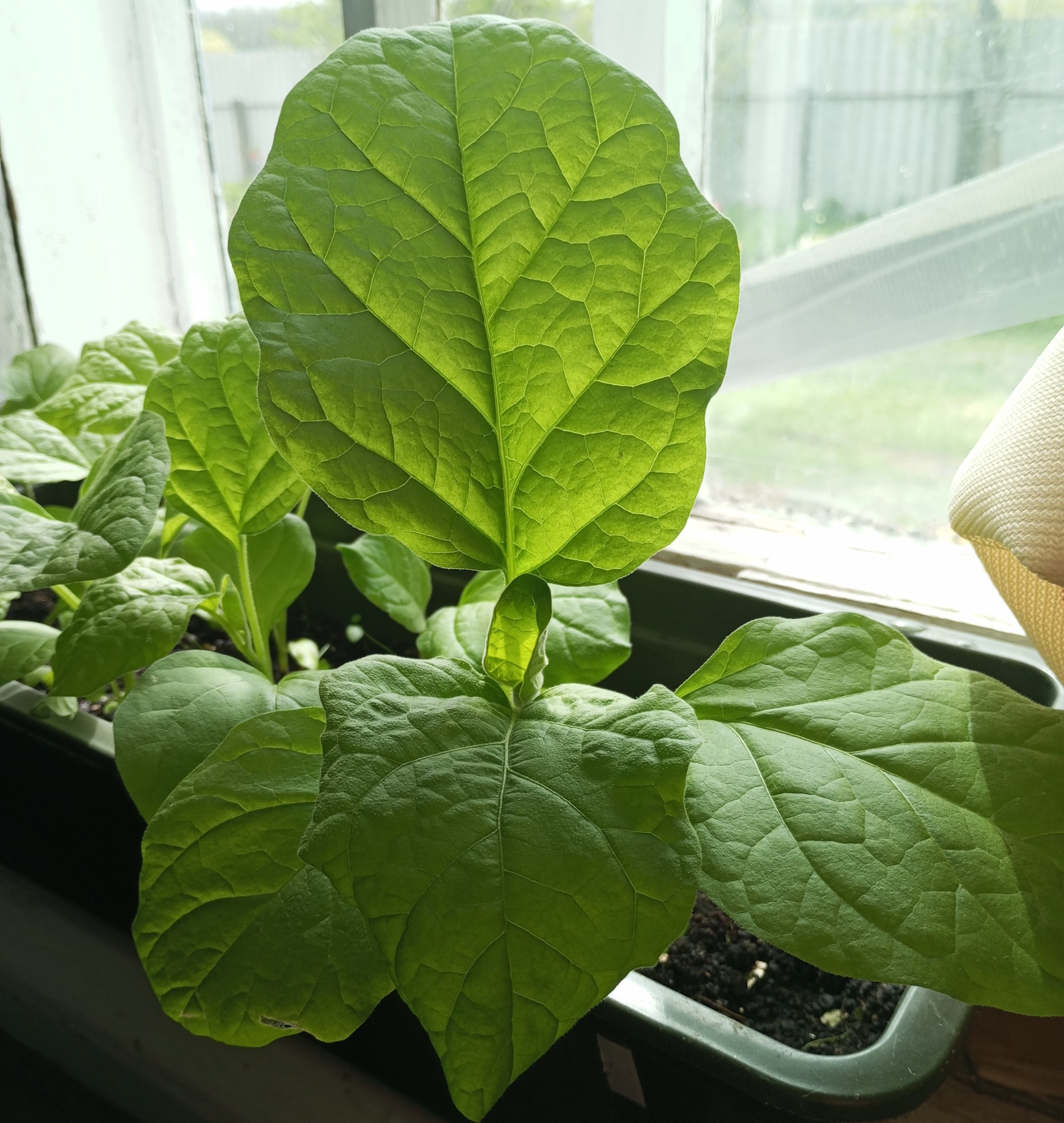 2024-04-26 12-42-32.JPG