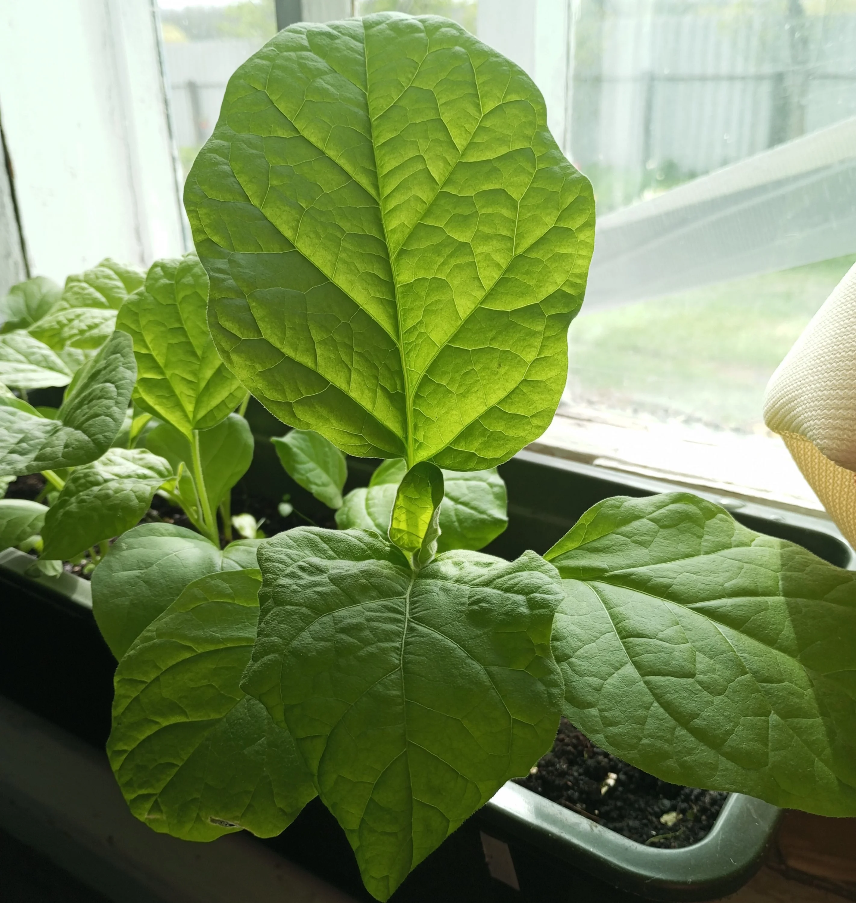 2024-04-26 12-42-32.webp