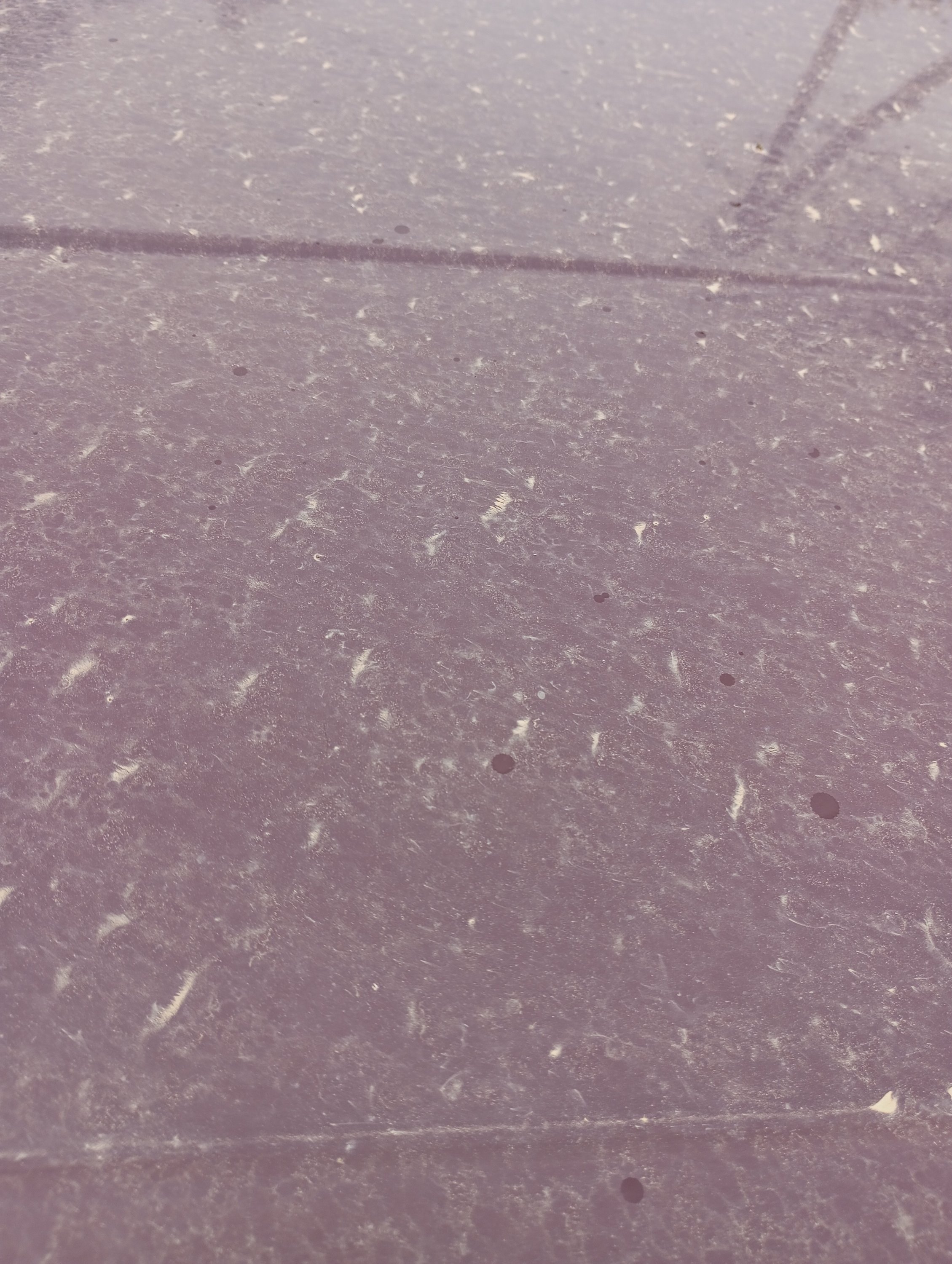 2024-04-26 15-46-31.JPG