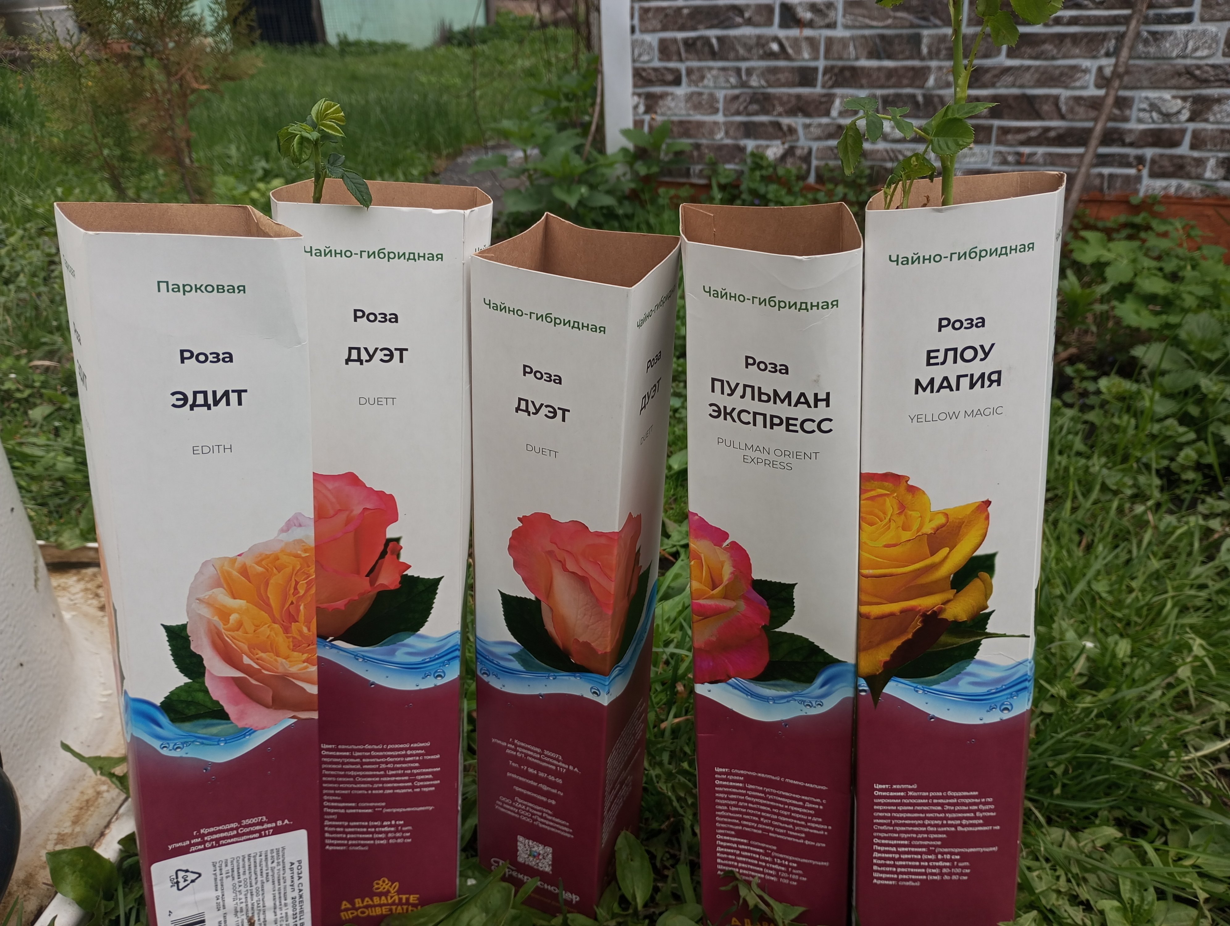 2024-04-27 17-23-57.JPG