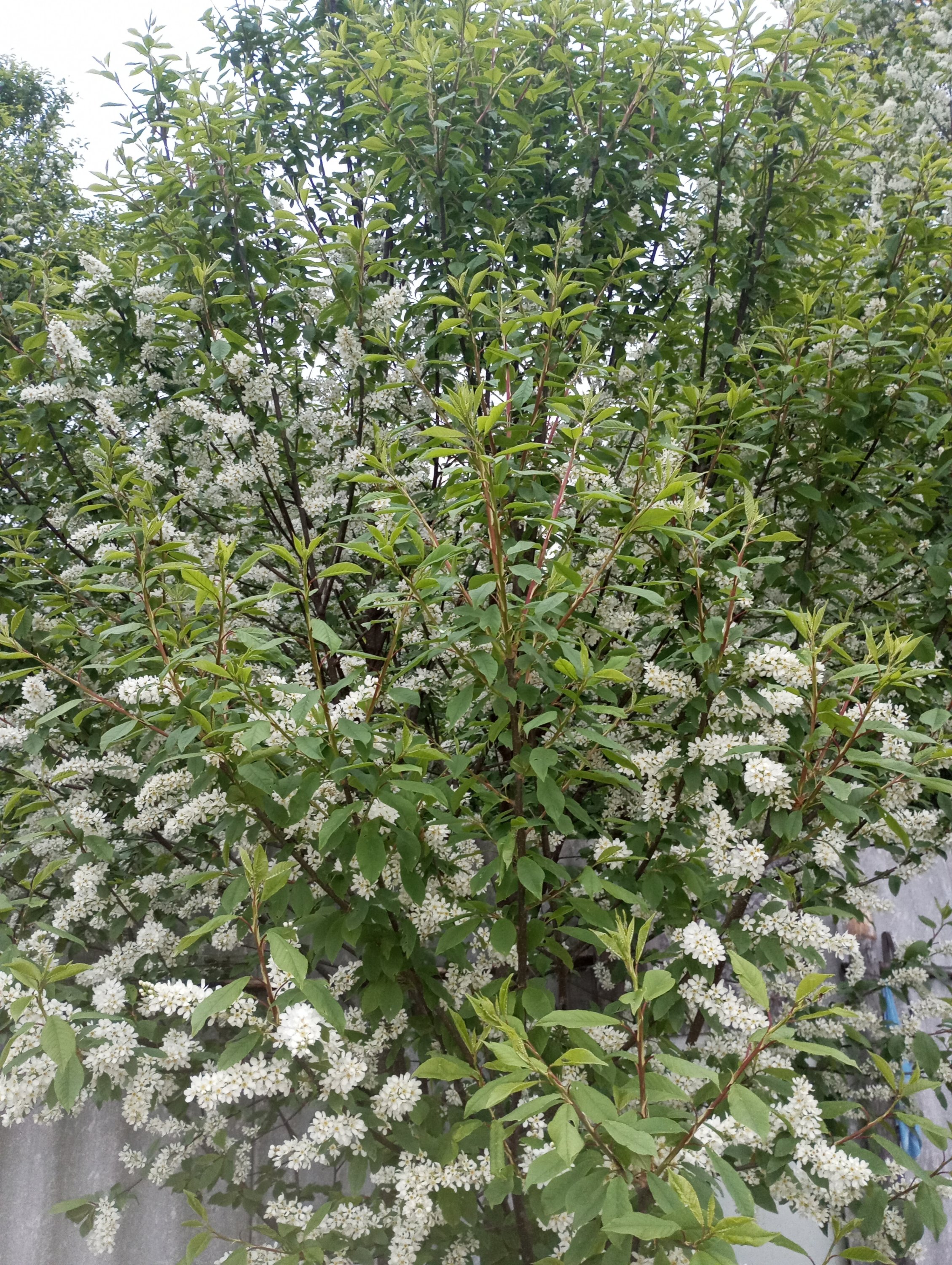 2024-04-27 19-05-17.JPG