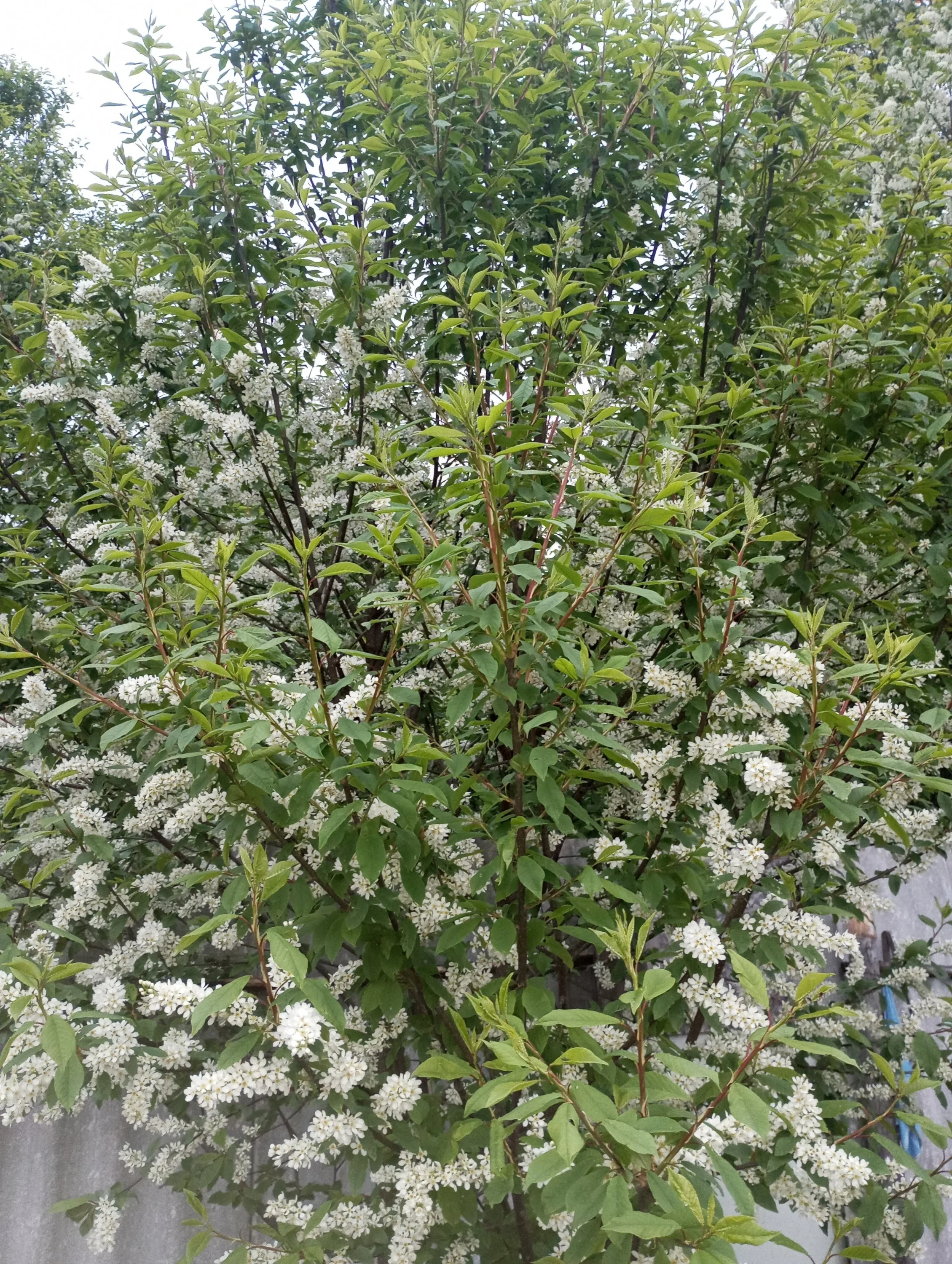 2024-04-27 19-05-17.webp