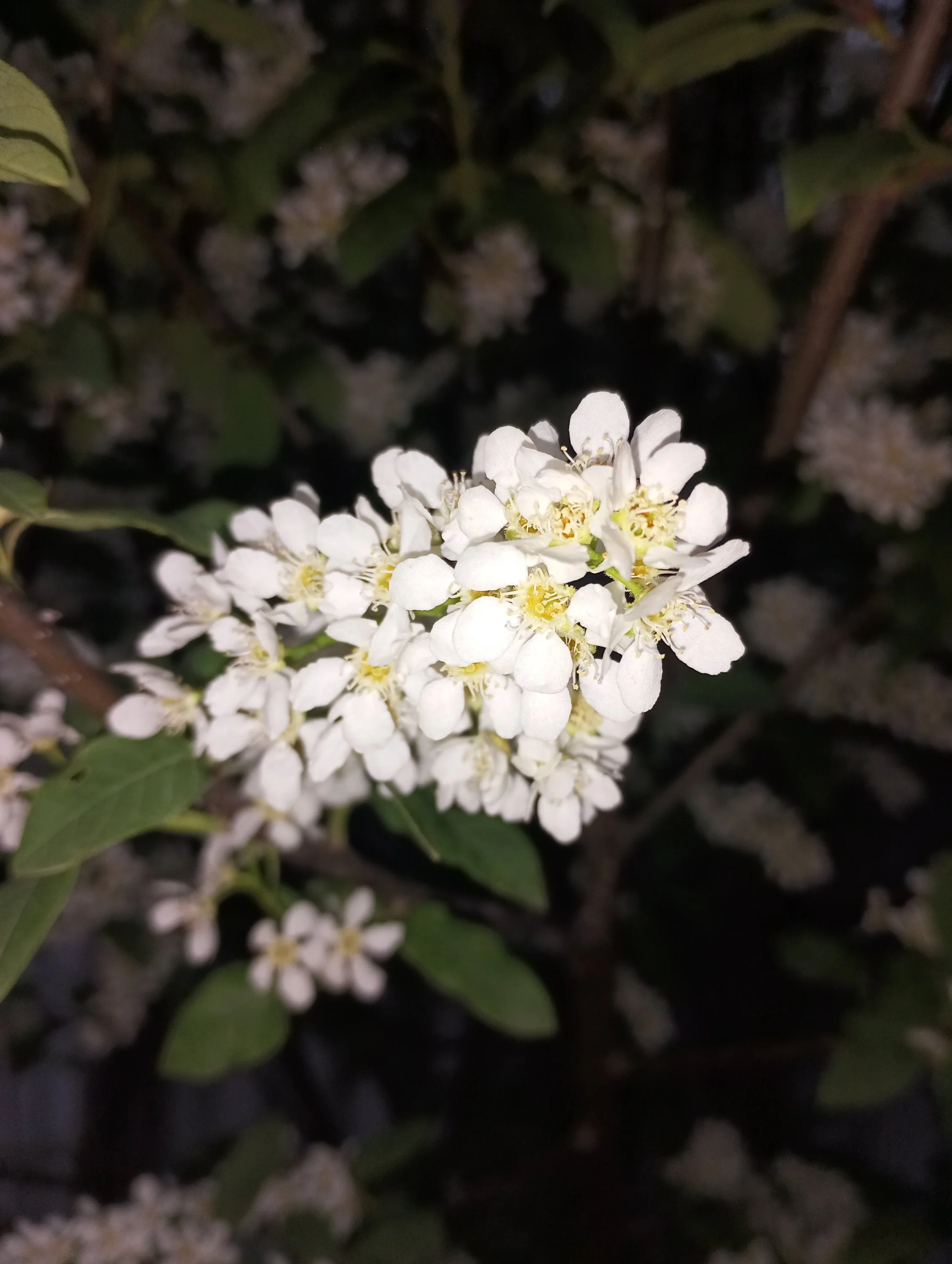 2024-04-27 19-05-36.webp