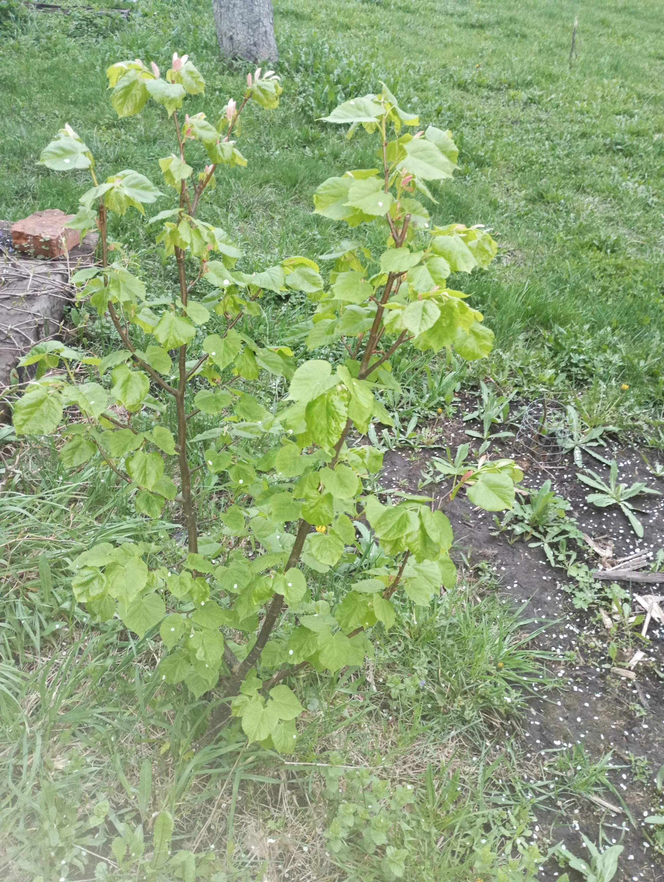 2024-04-27 19-17-56.webp