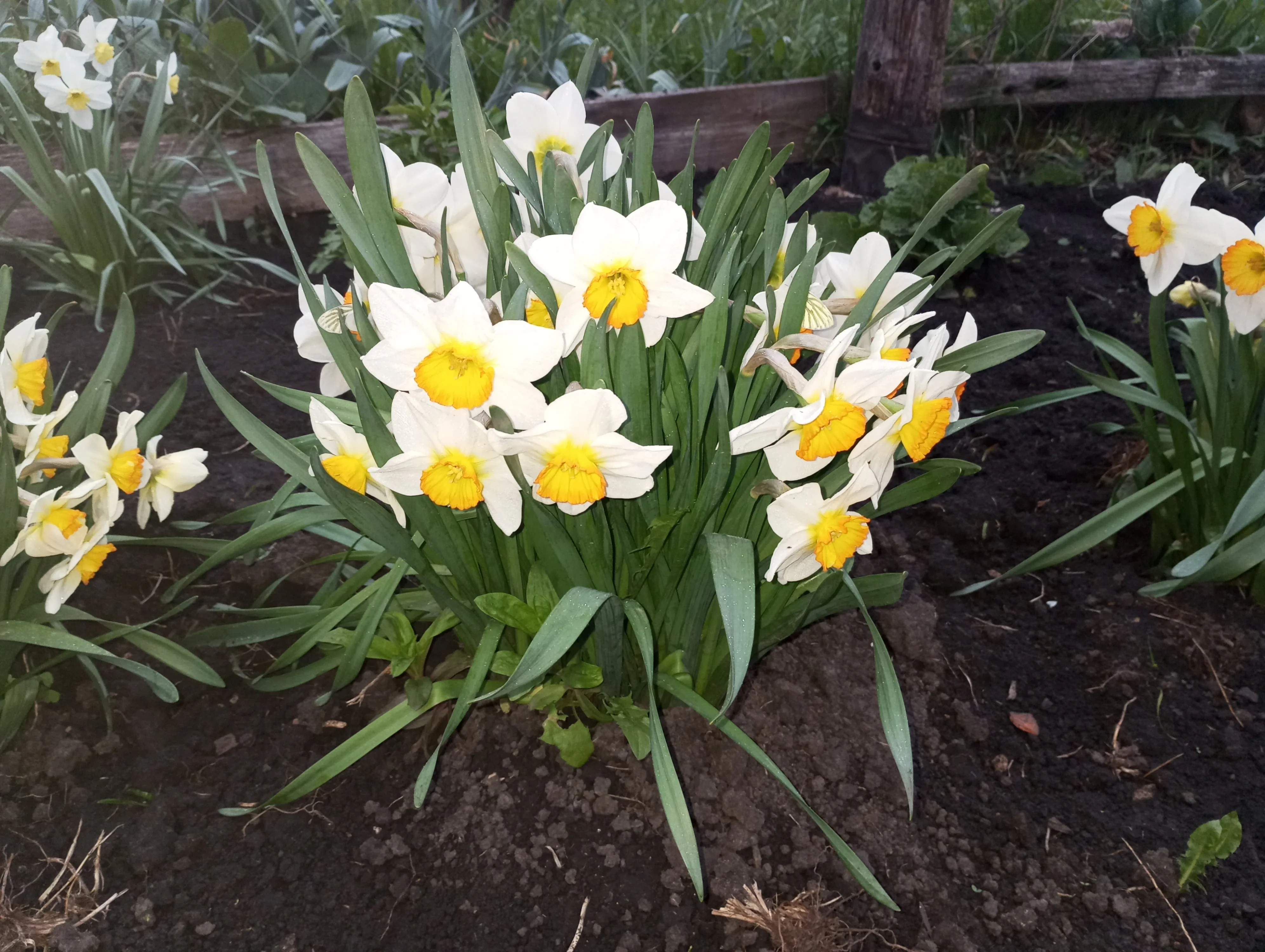 2024-04-27 19-18-26.webp