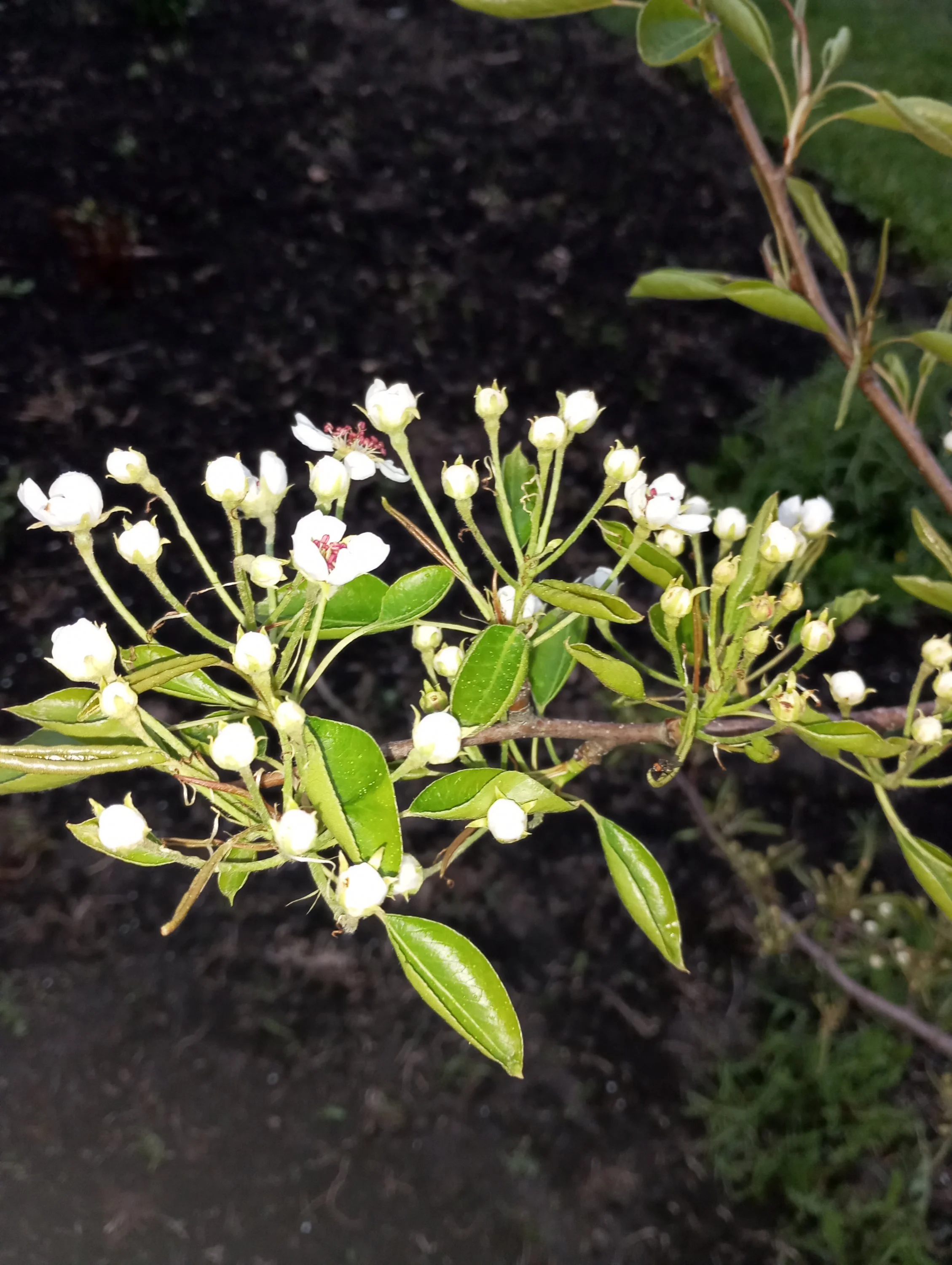 2024-04-27 19-18-41.webp