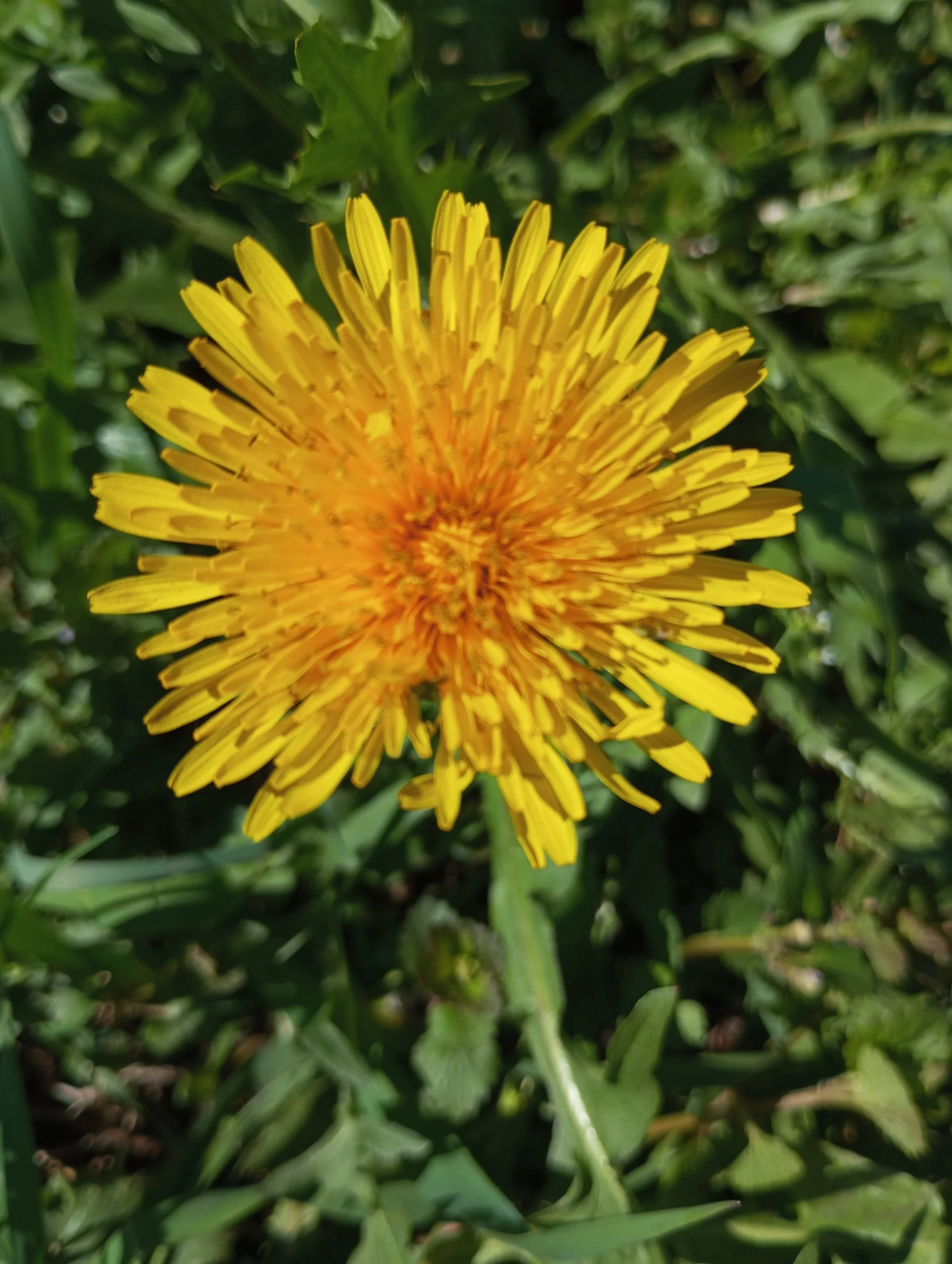 2024-04-29 13-49-08.webp