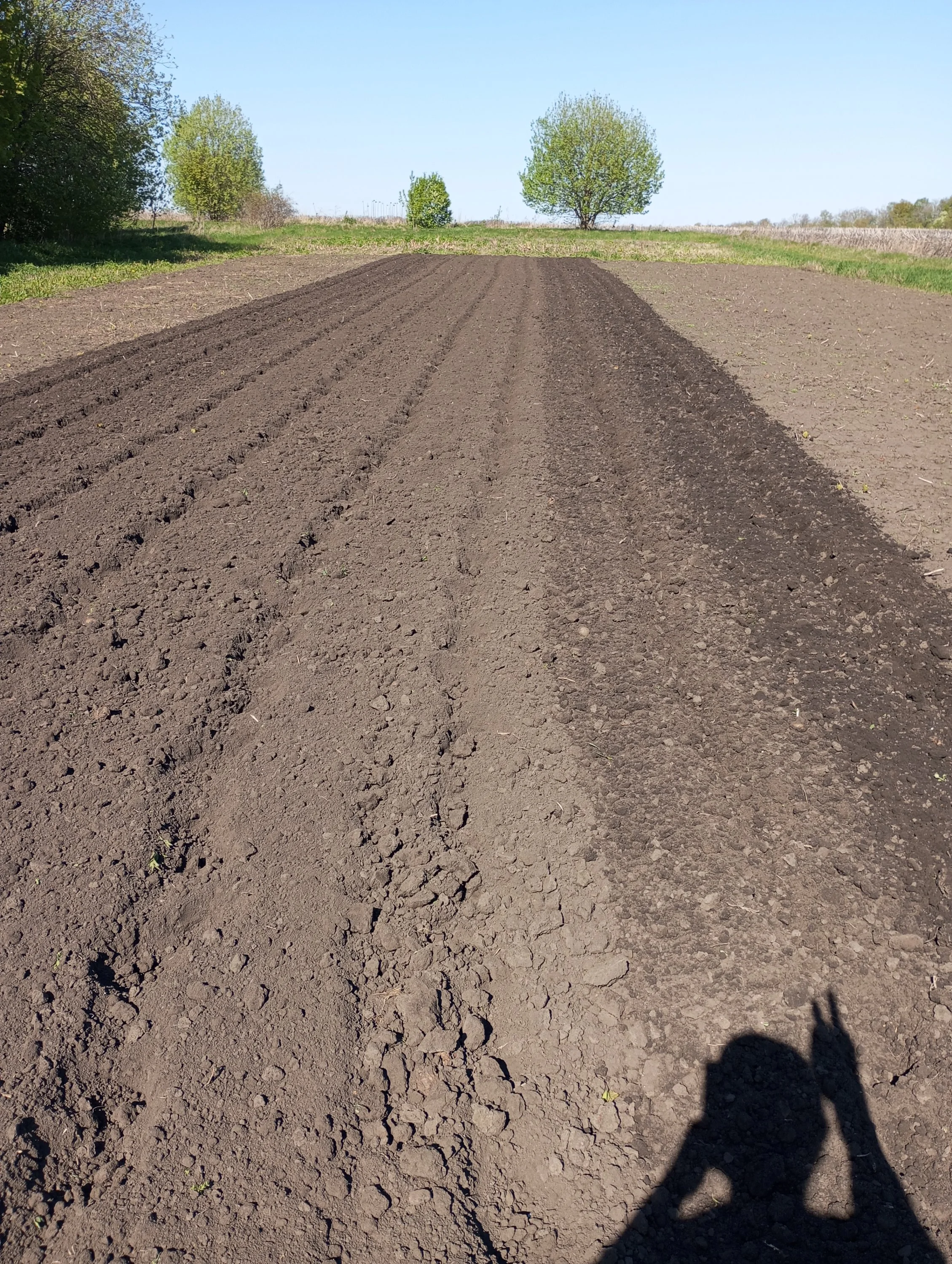 2024-04-29 15-00-48.webp