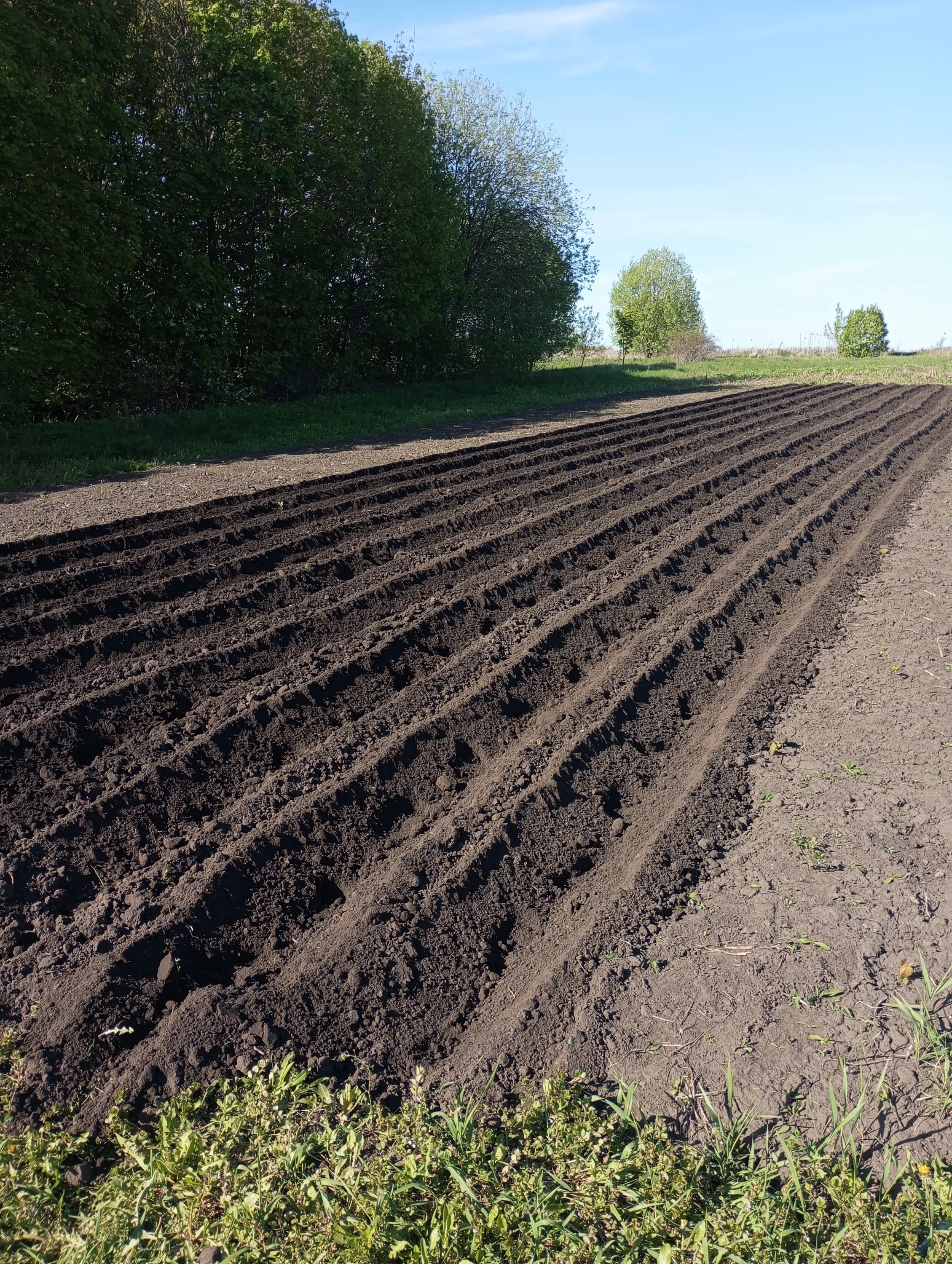 2024-04-30 16-03-24.webp