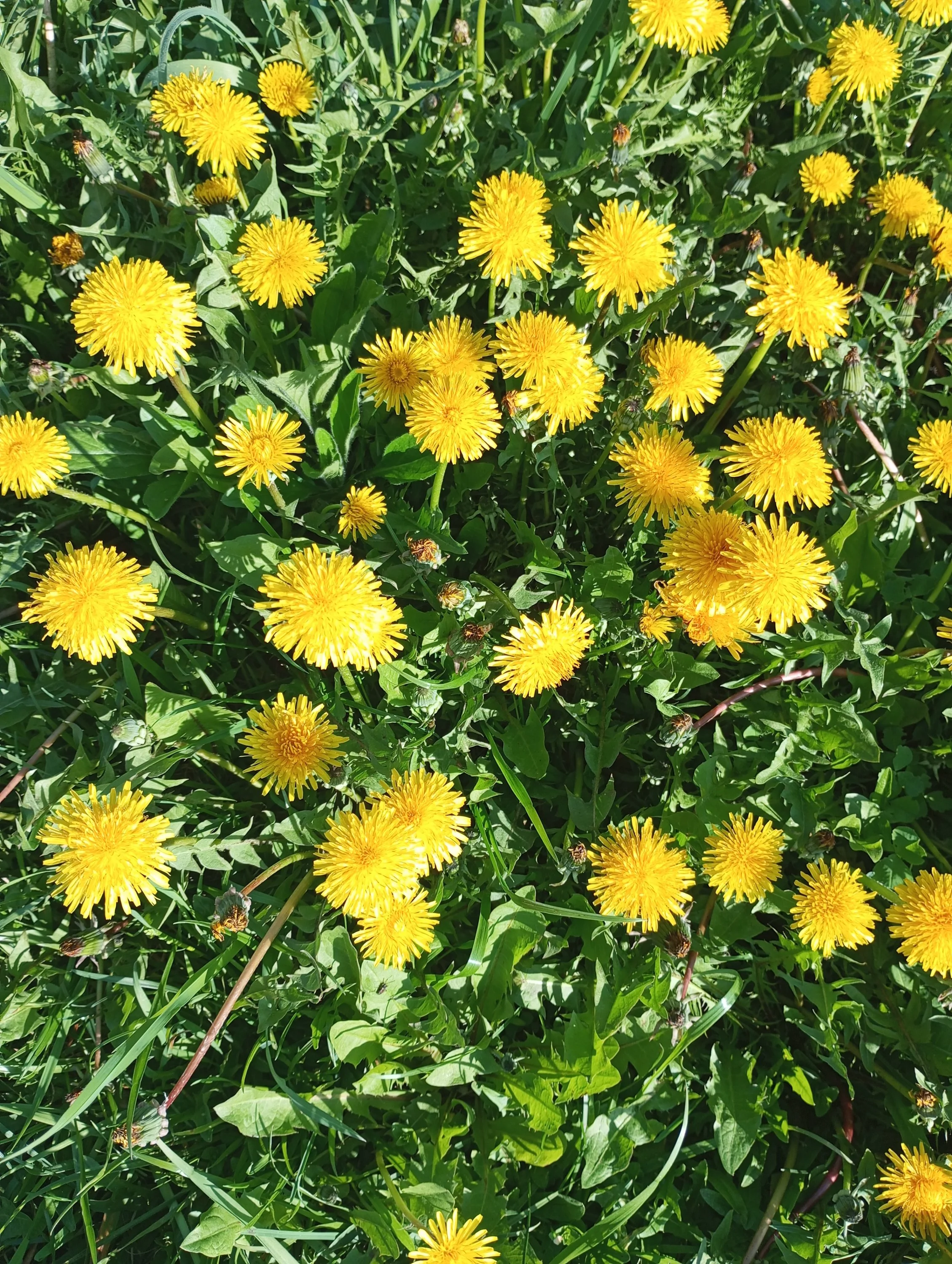 2024-05-01 08-02-50 (1).webp