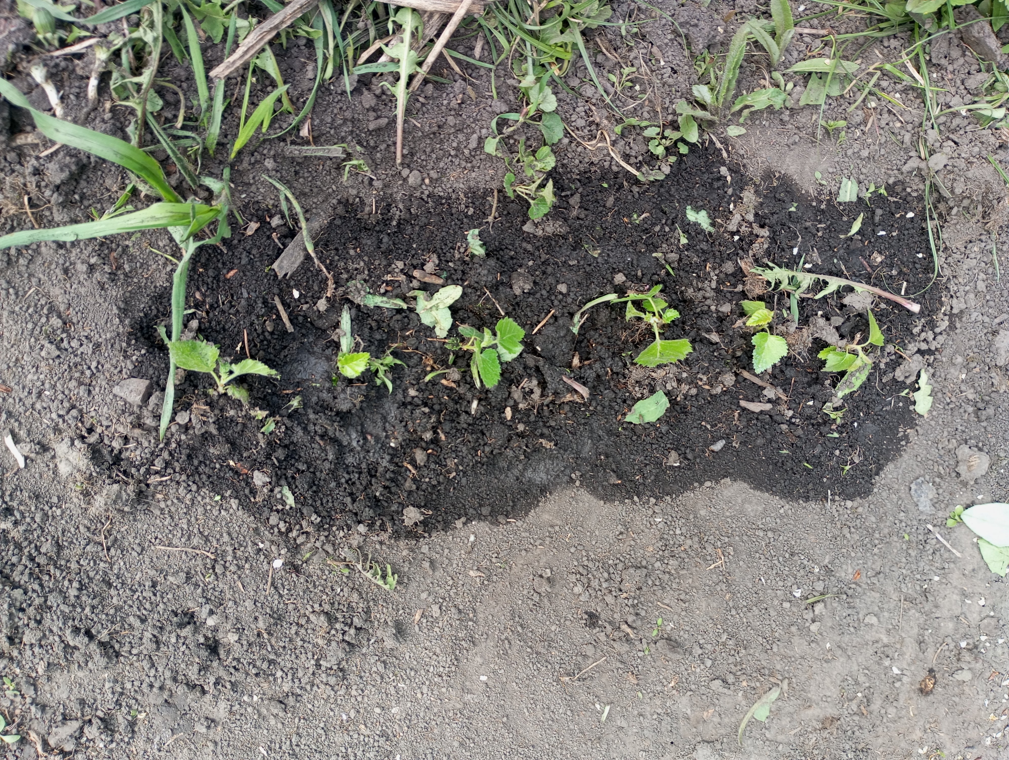 2024-05-01 10-49-54.JPG