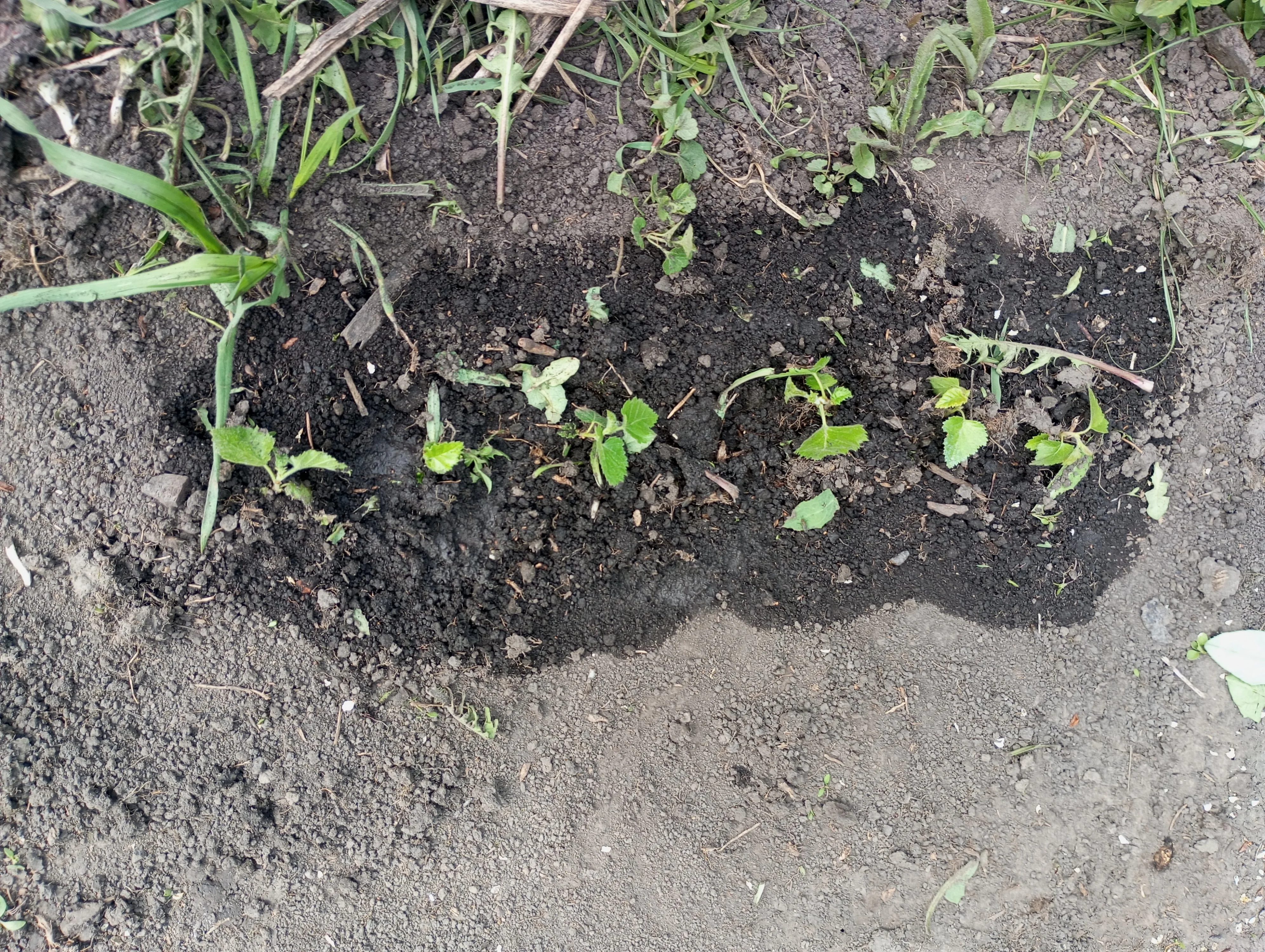 2024-05-01 10-49-54.webp