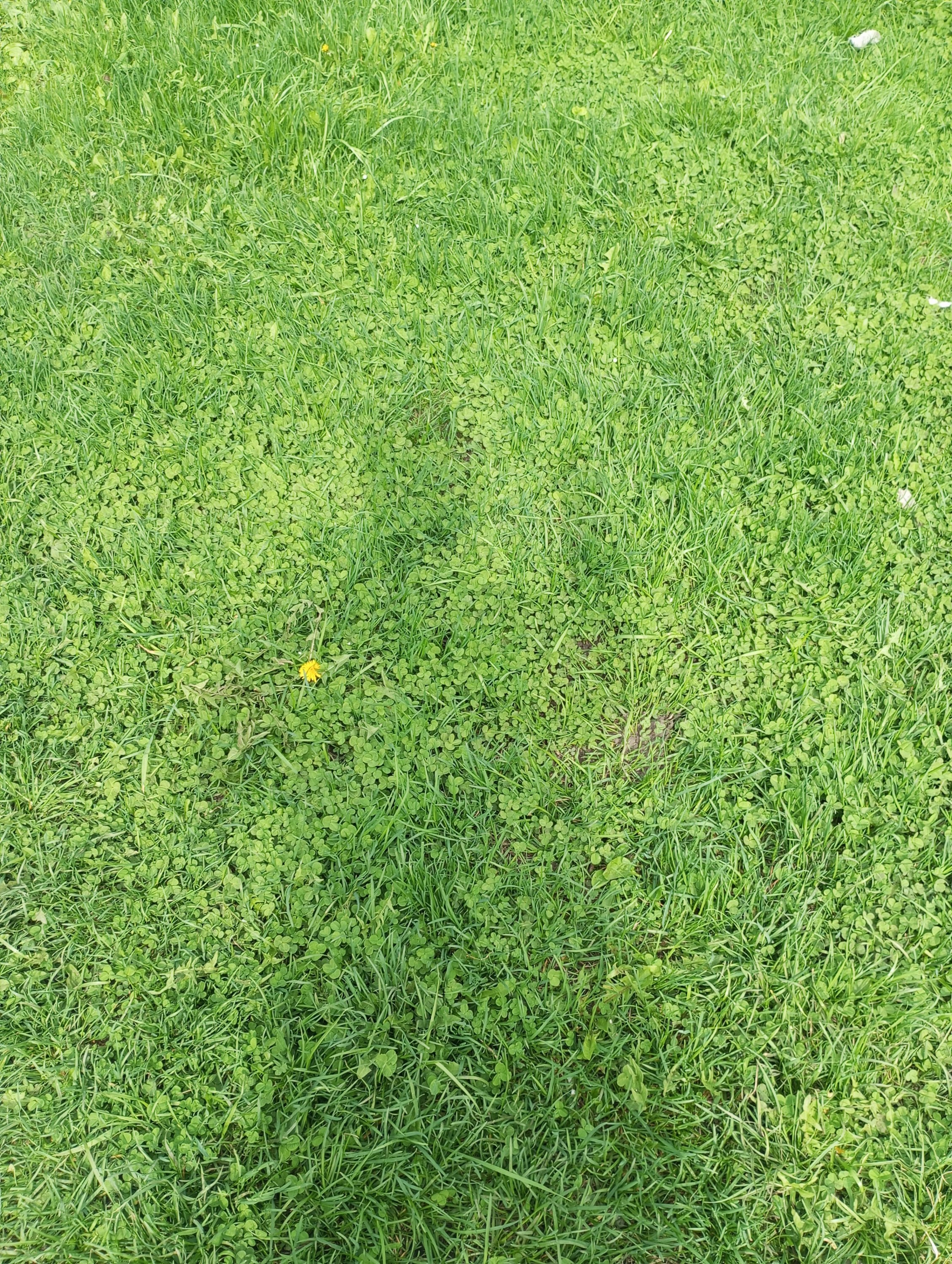 2024-05-01 14-24-43.JPG