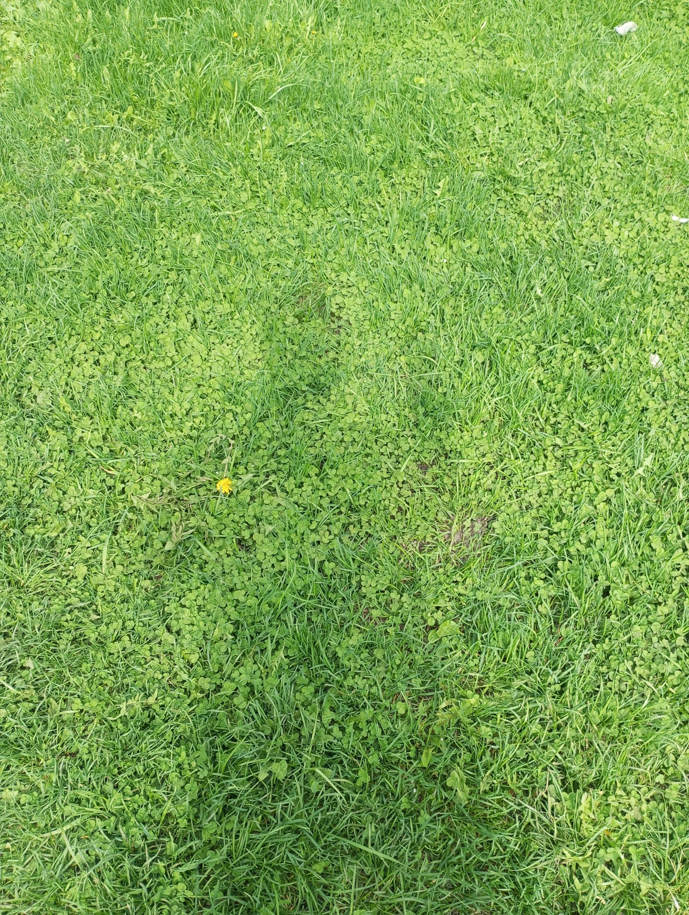 2024-05-01 14-24-43.webp