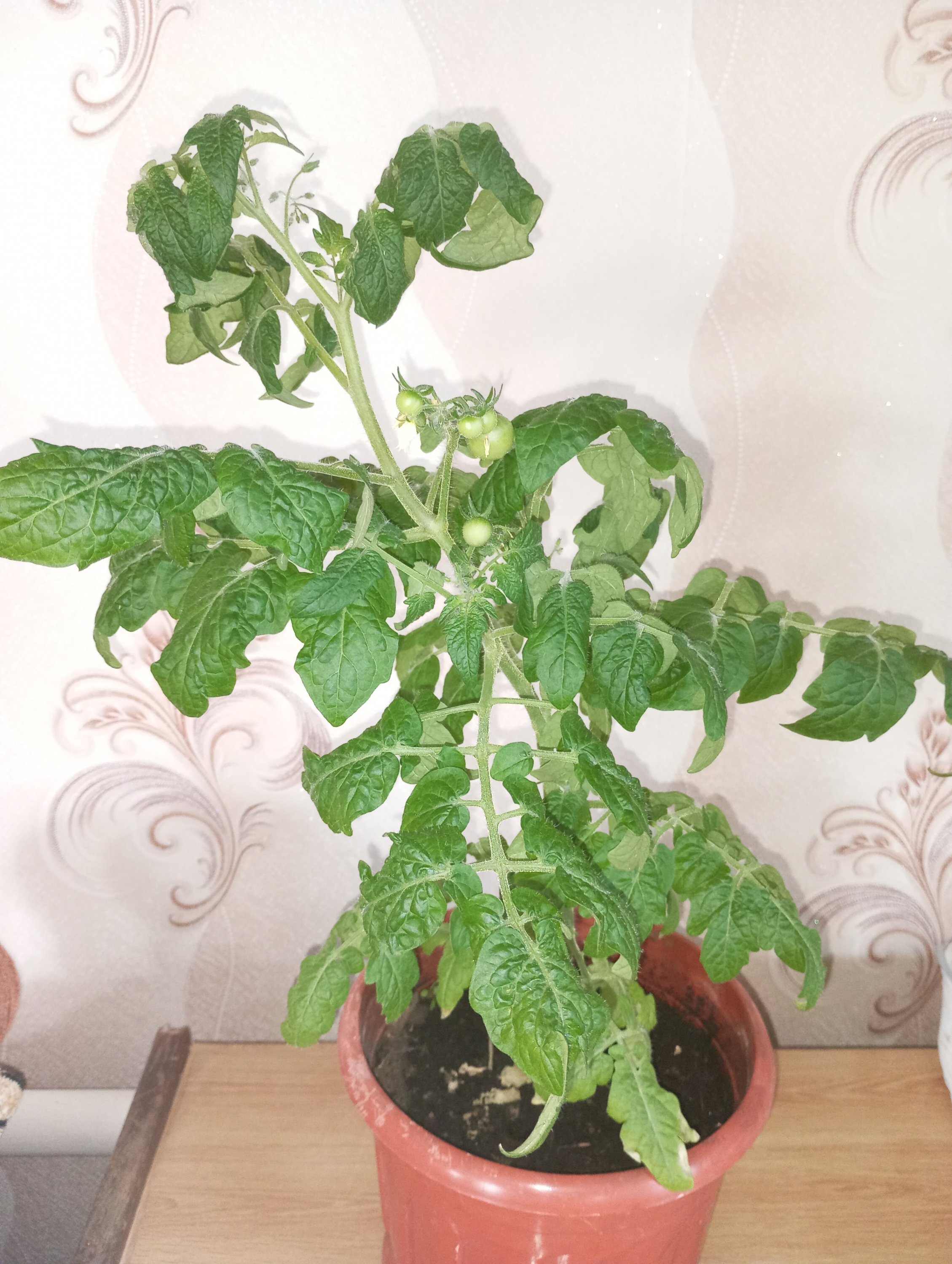 2024-05-02 17-30-17.JPG