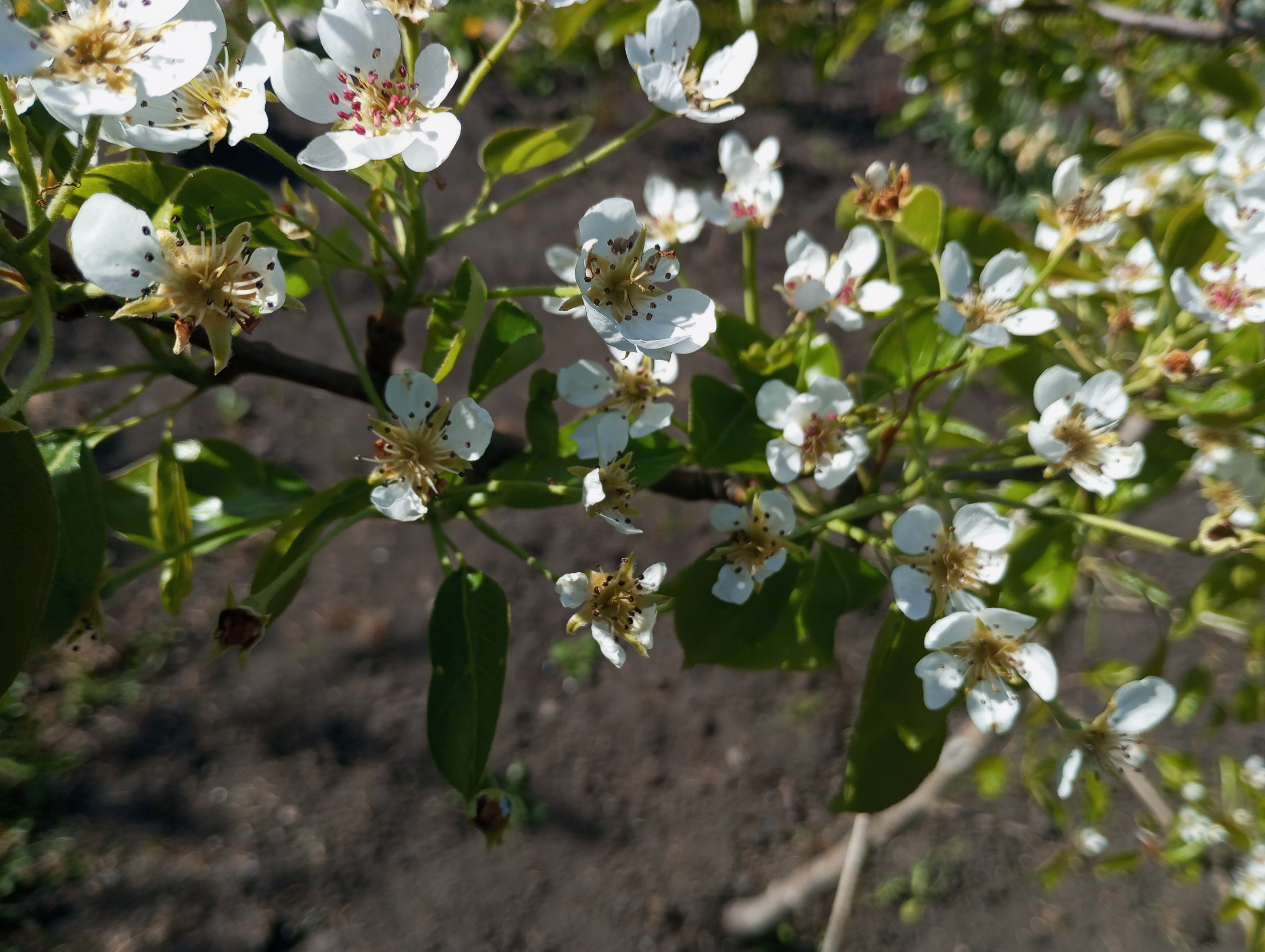 2024-05-03 15-21-10.JPG