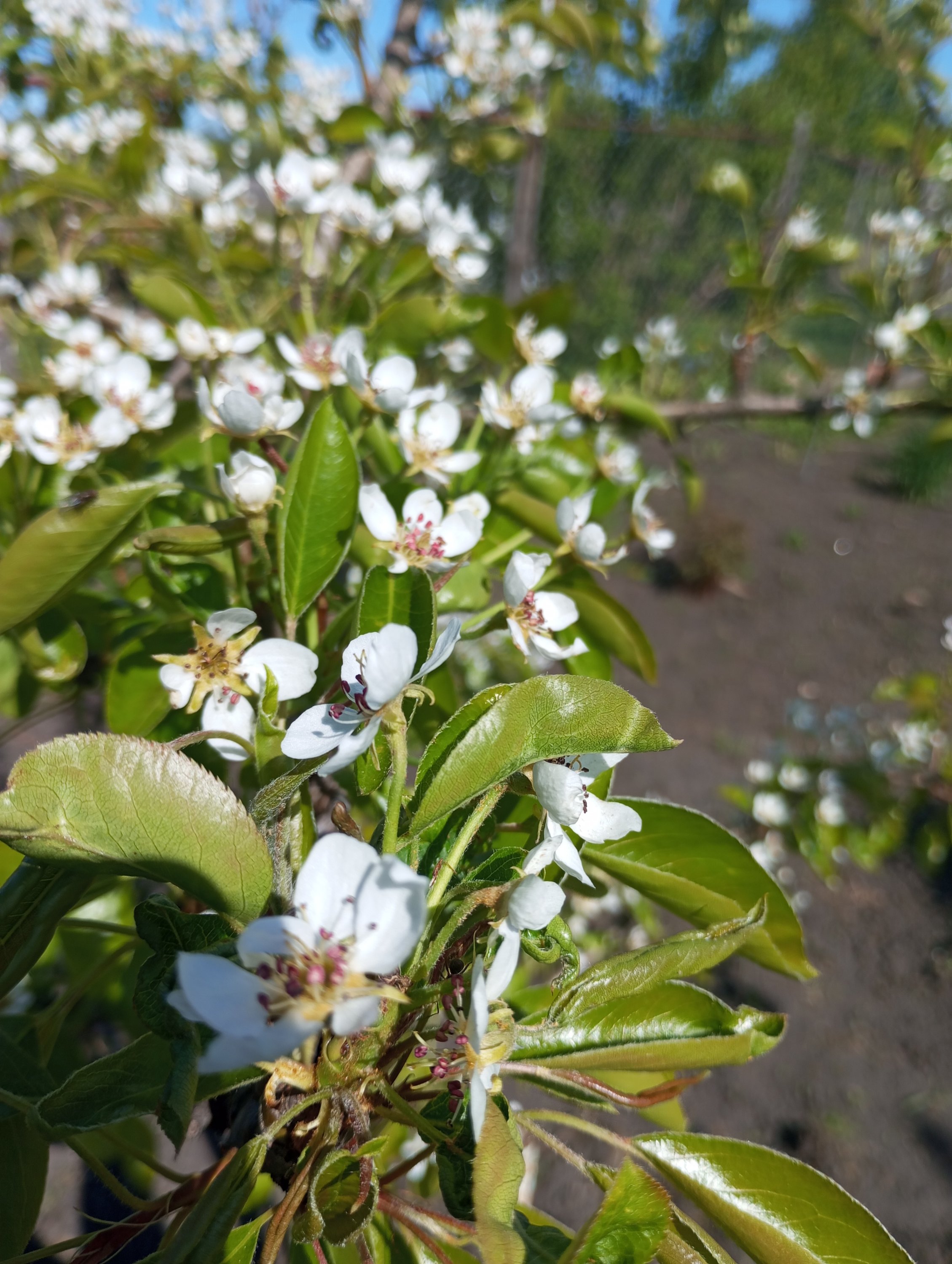 2024-05-03 15-21-17.JPG