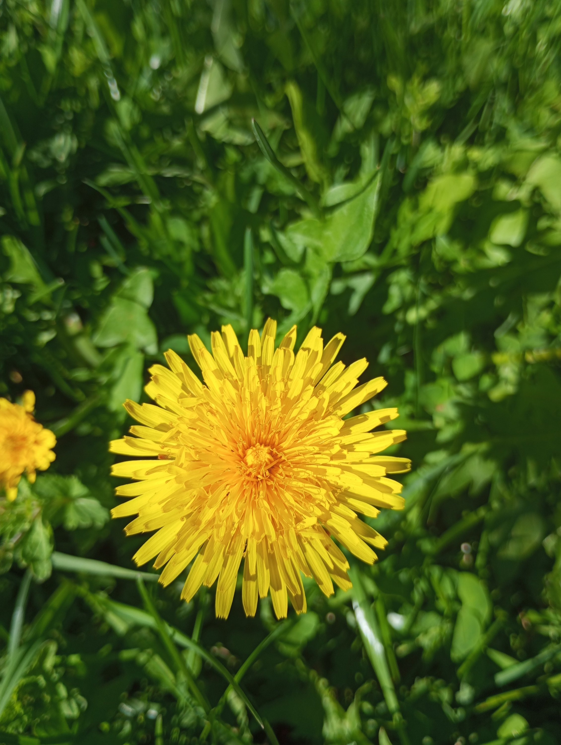 2024-05-03 15-21-40.JPG