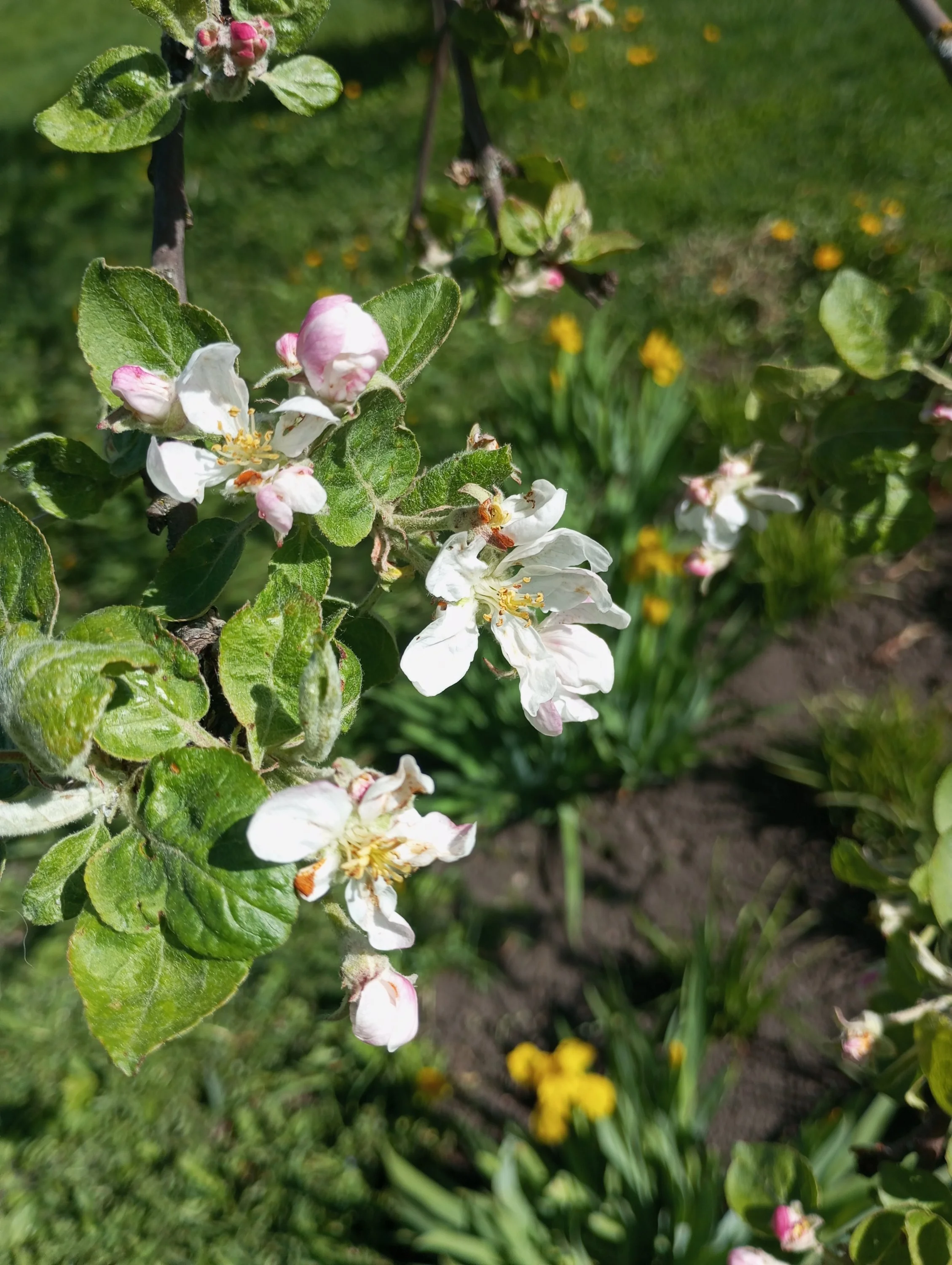 2024-05-03 15-21-54.webp