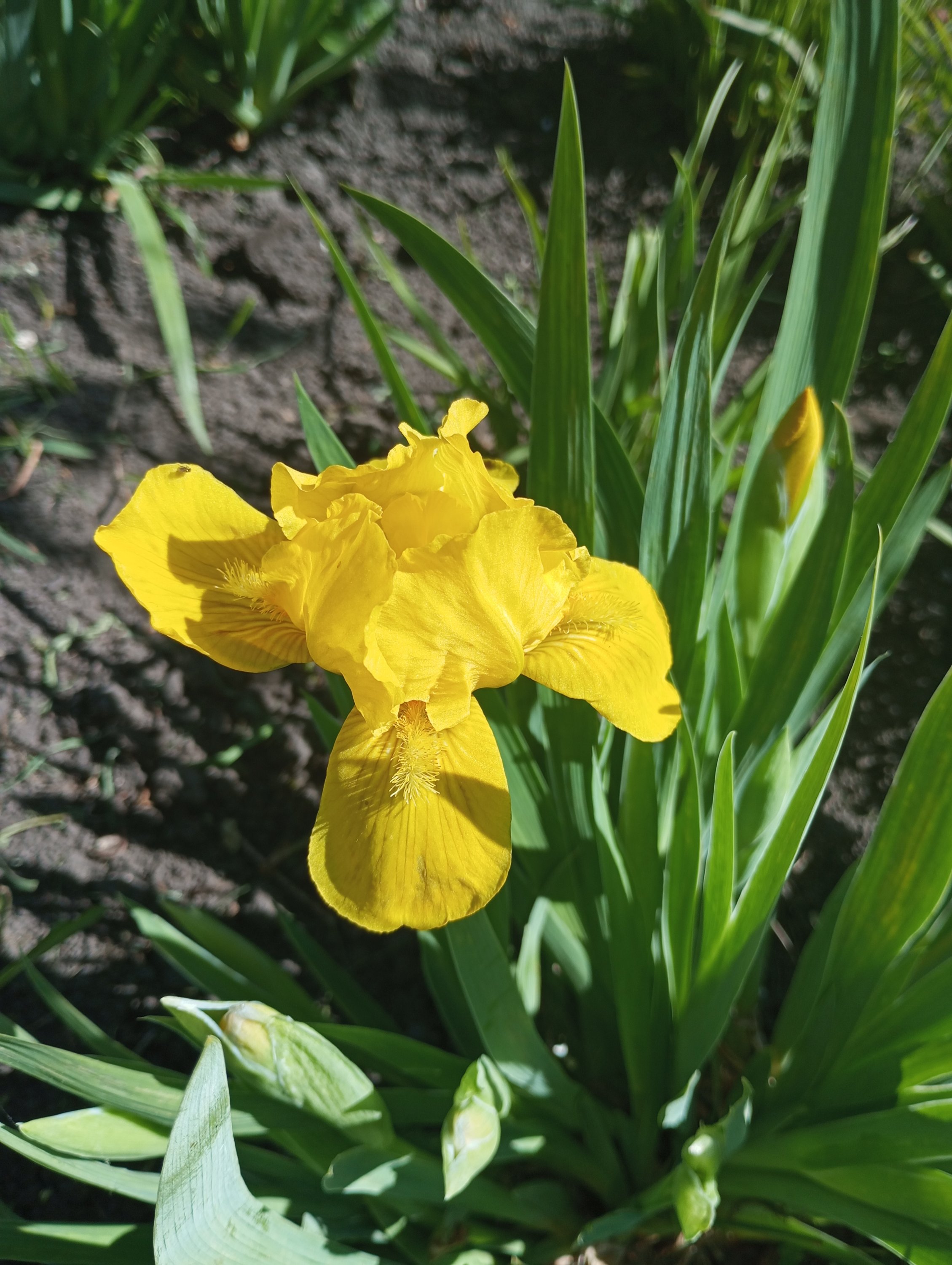 2024-05-03 15-22-00.JPG