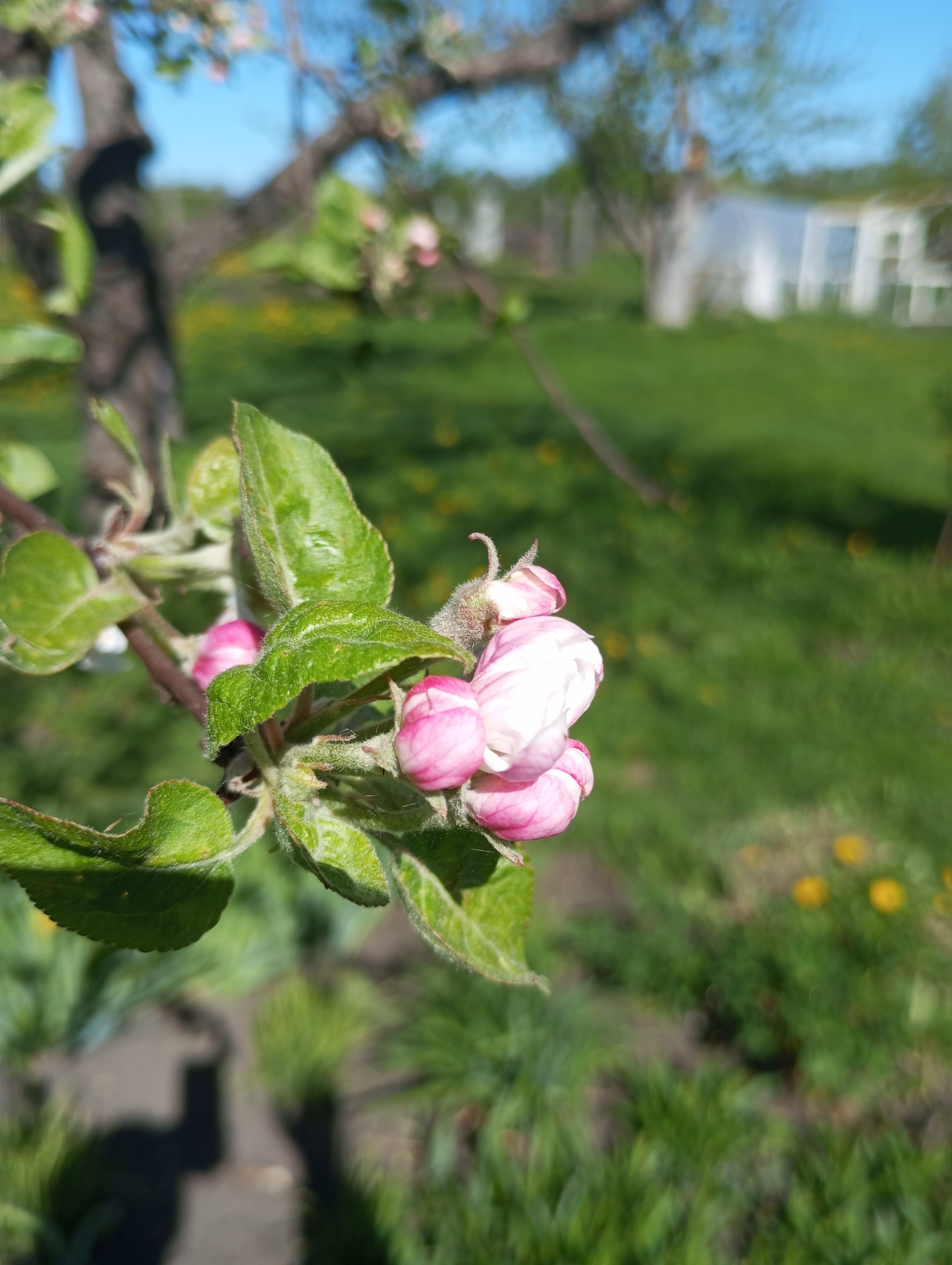 2024-05-03 15-22-14.JPG