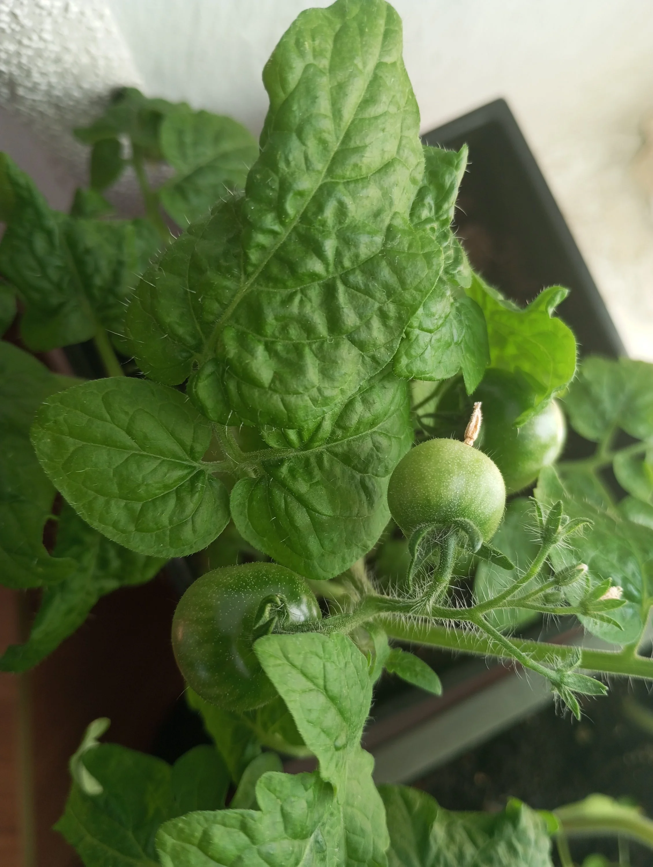 2024-05-03 15-39-36.webp