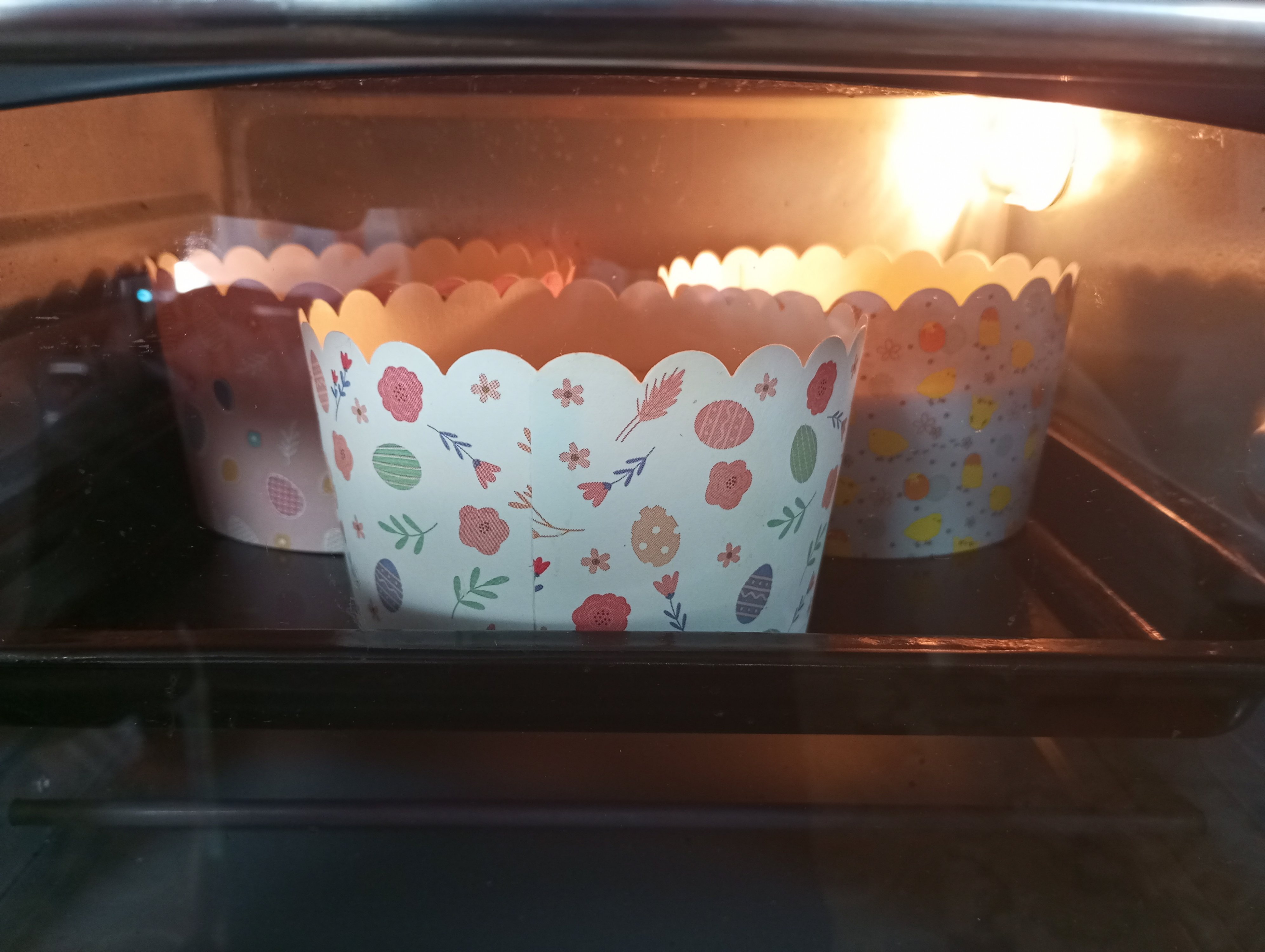 2024-05-03 17-10-33.JPG