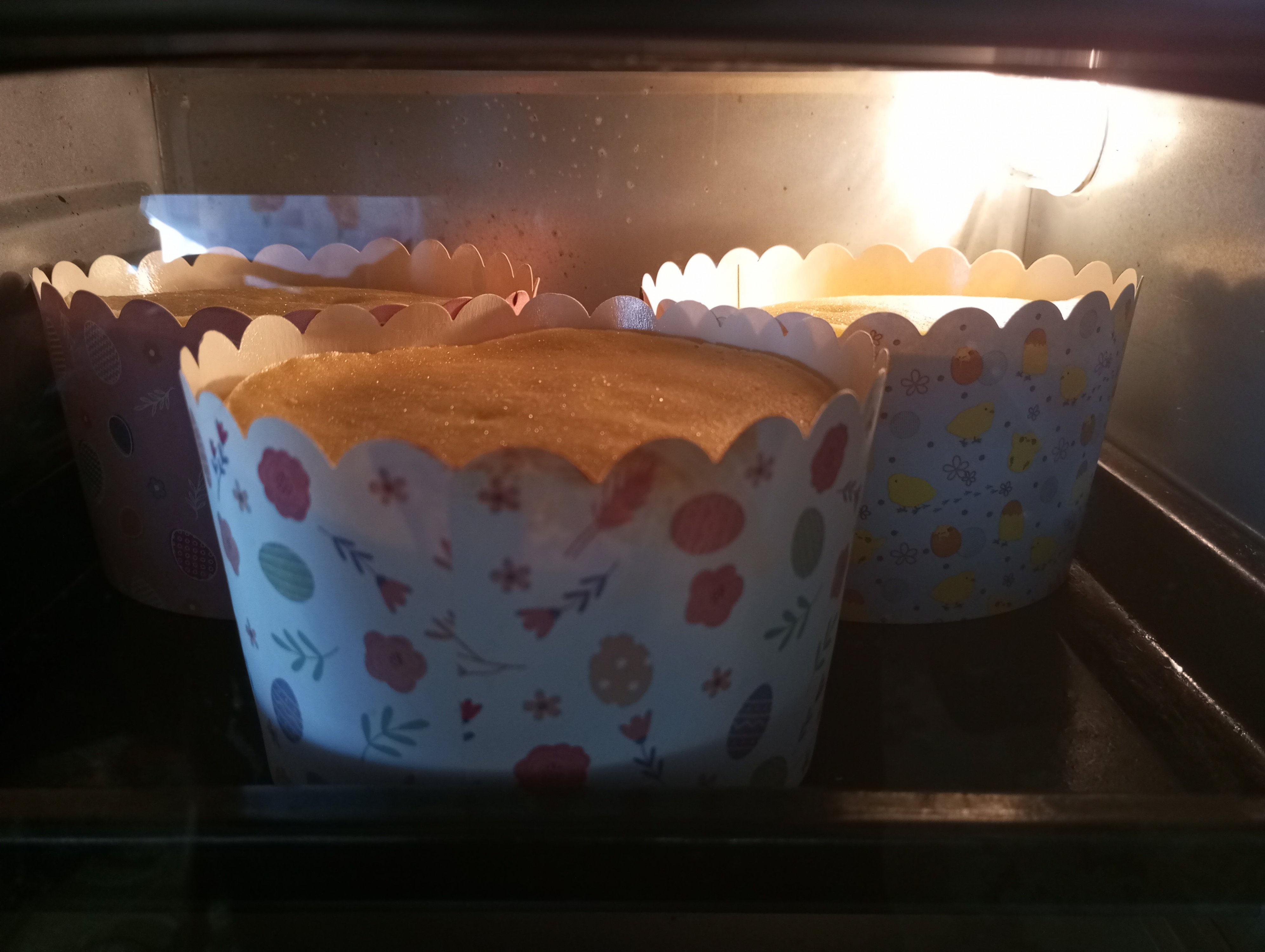 2024-05-03 17-18-20.JPG