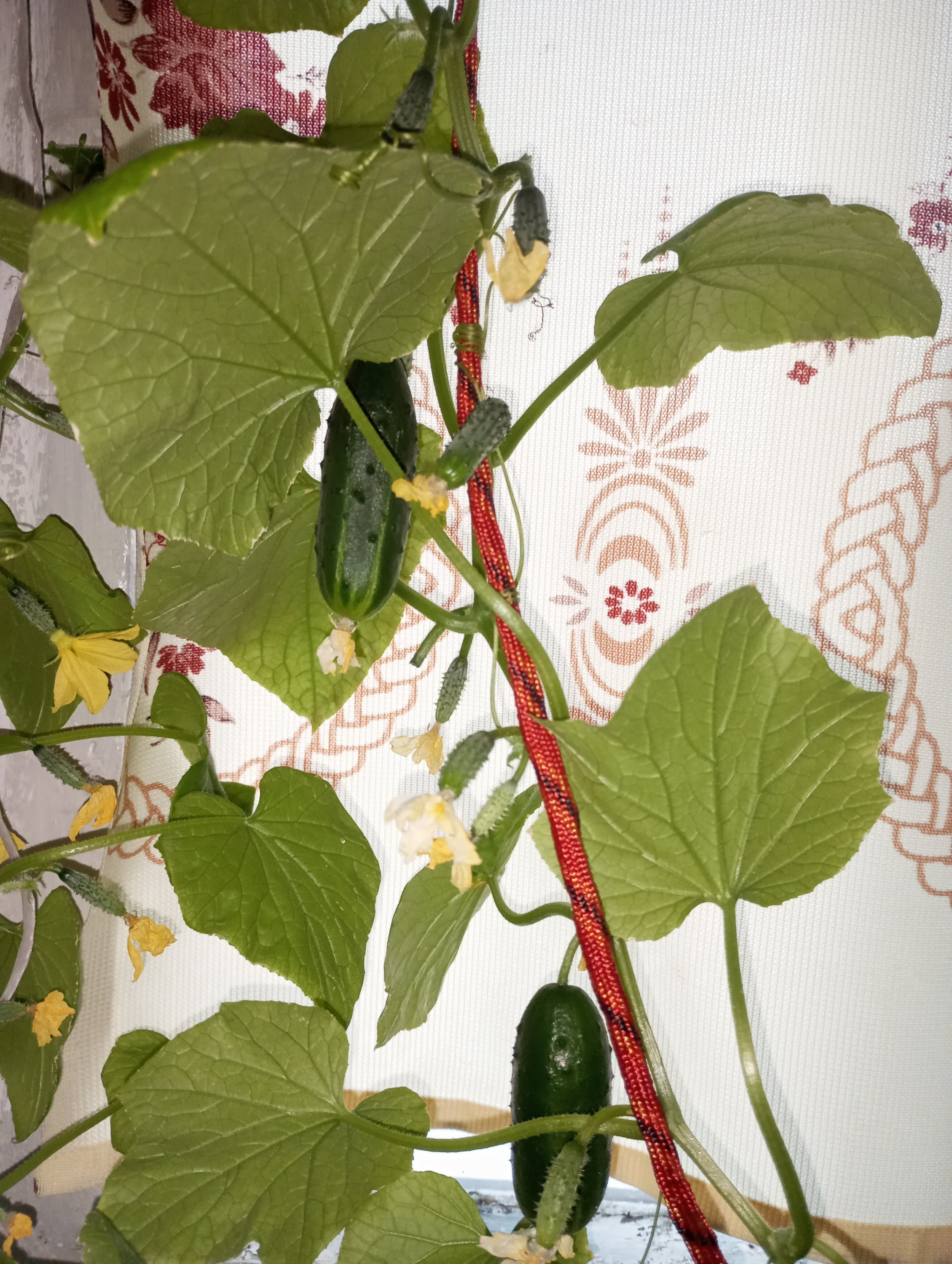 2024-05-03 19-13-52.JPG