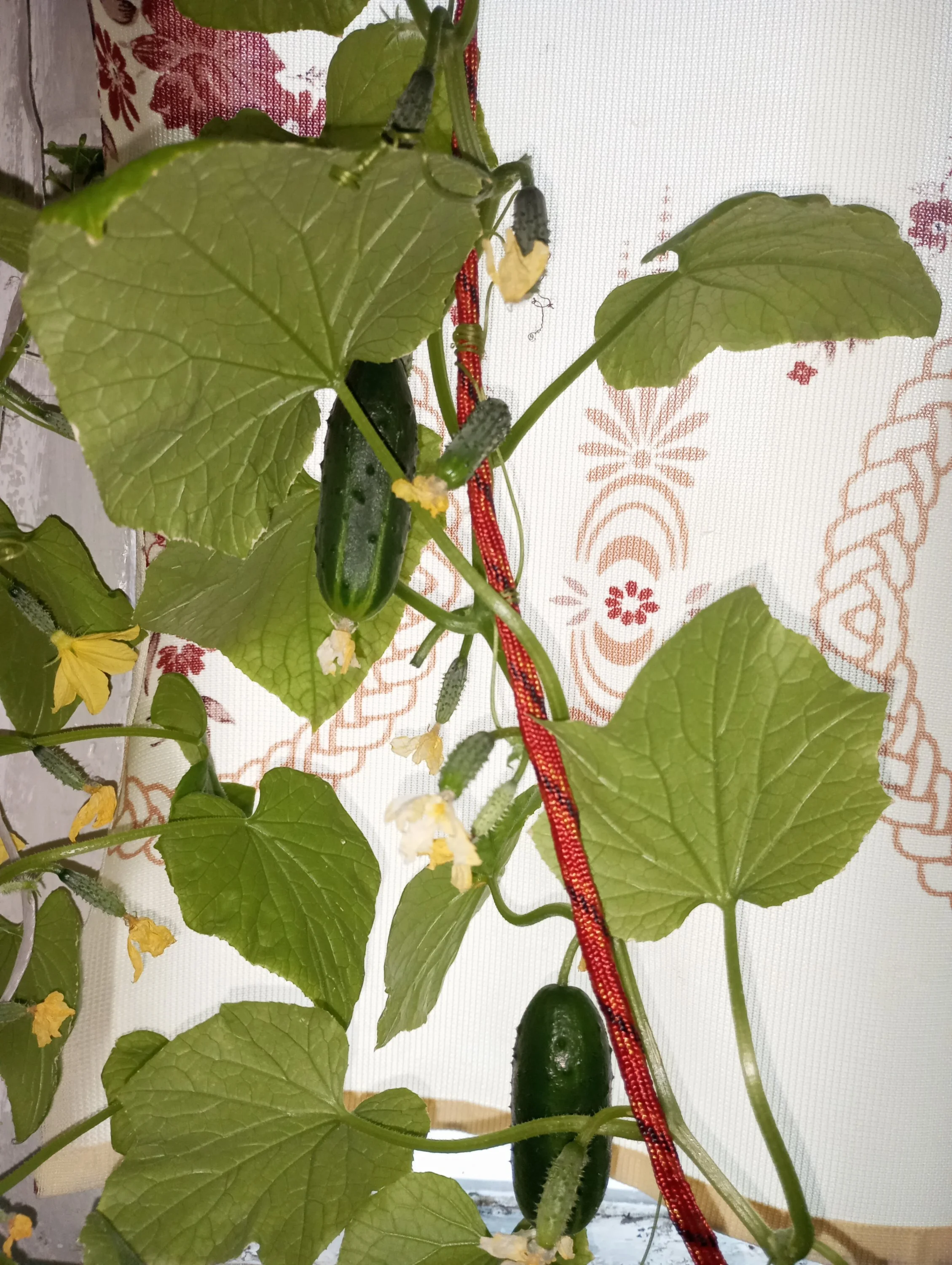 2024-05-03 19-13-52.webp