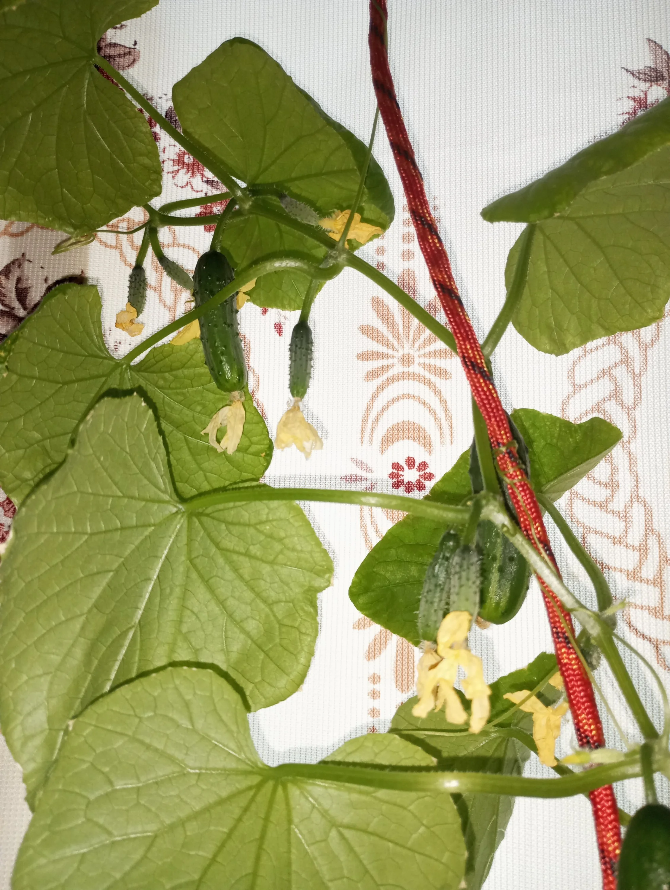 2024-05-03 19-13-58.webp