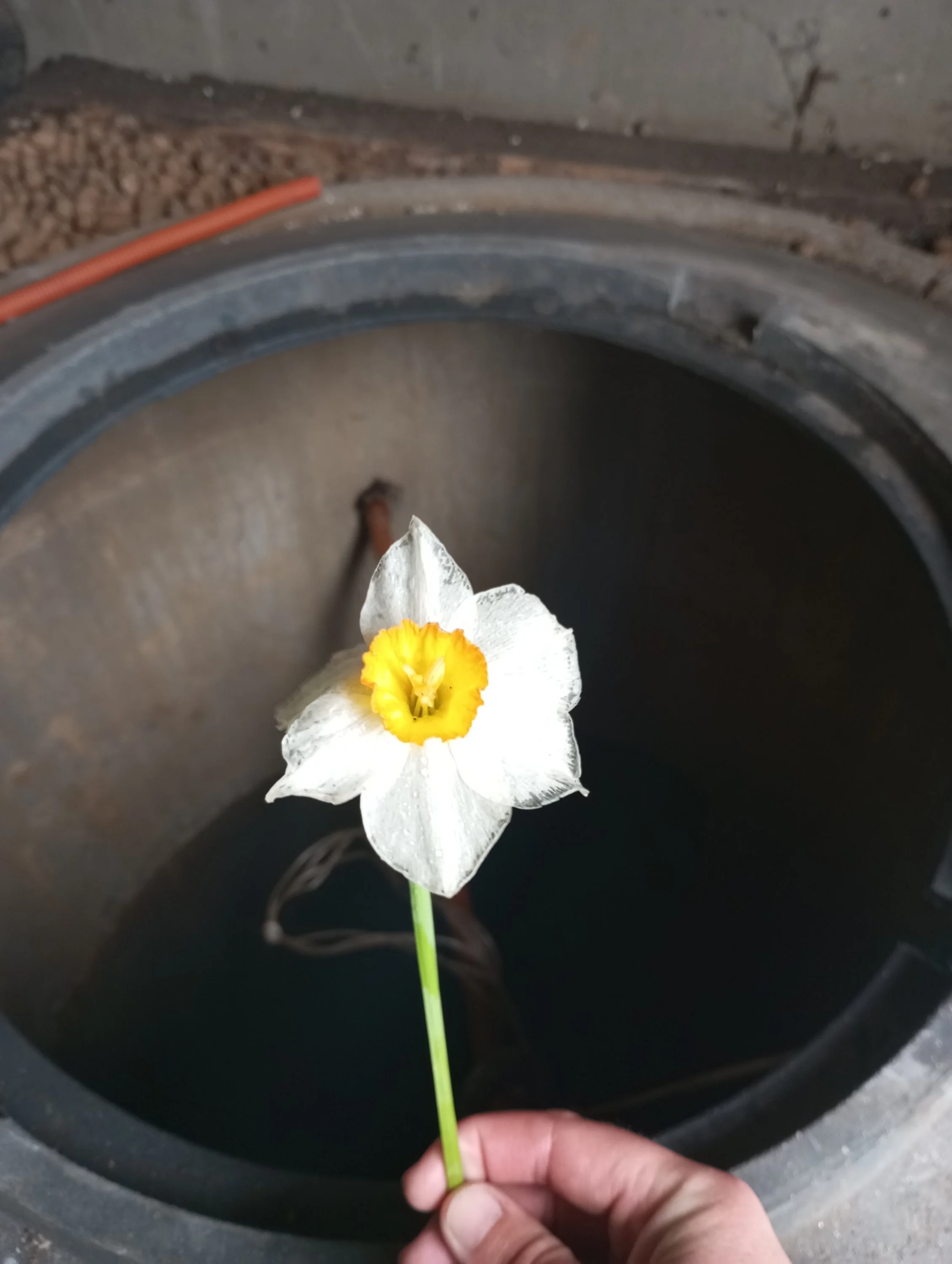 2024-05-07 15-33-06.webp