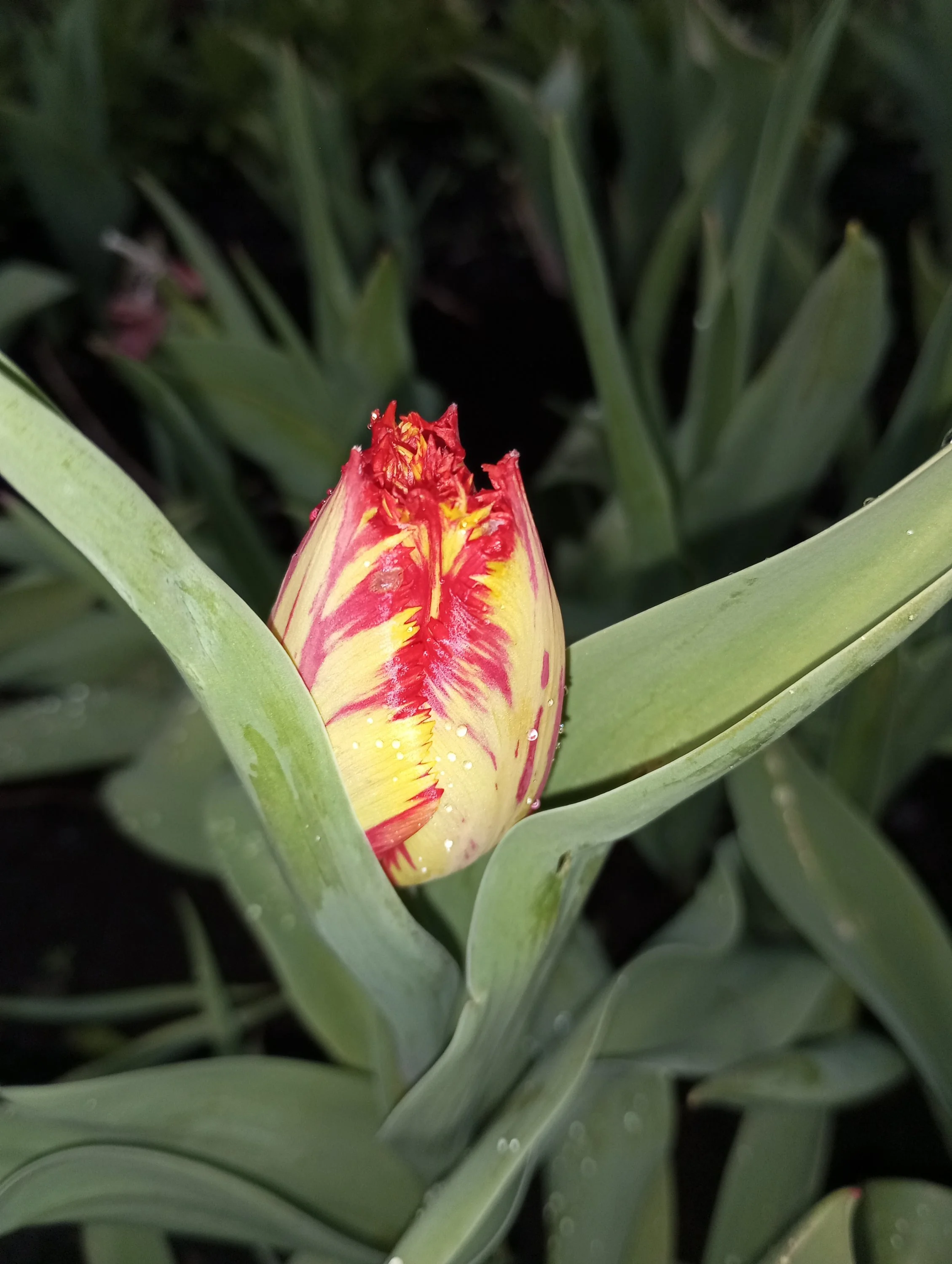 2024-05-08 18-56-38.webp