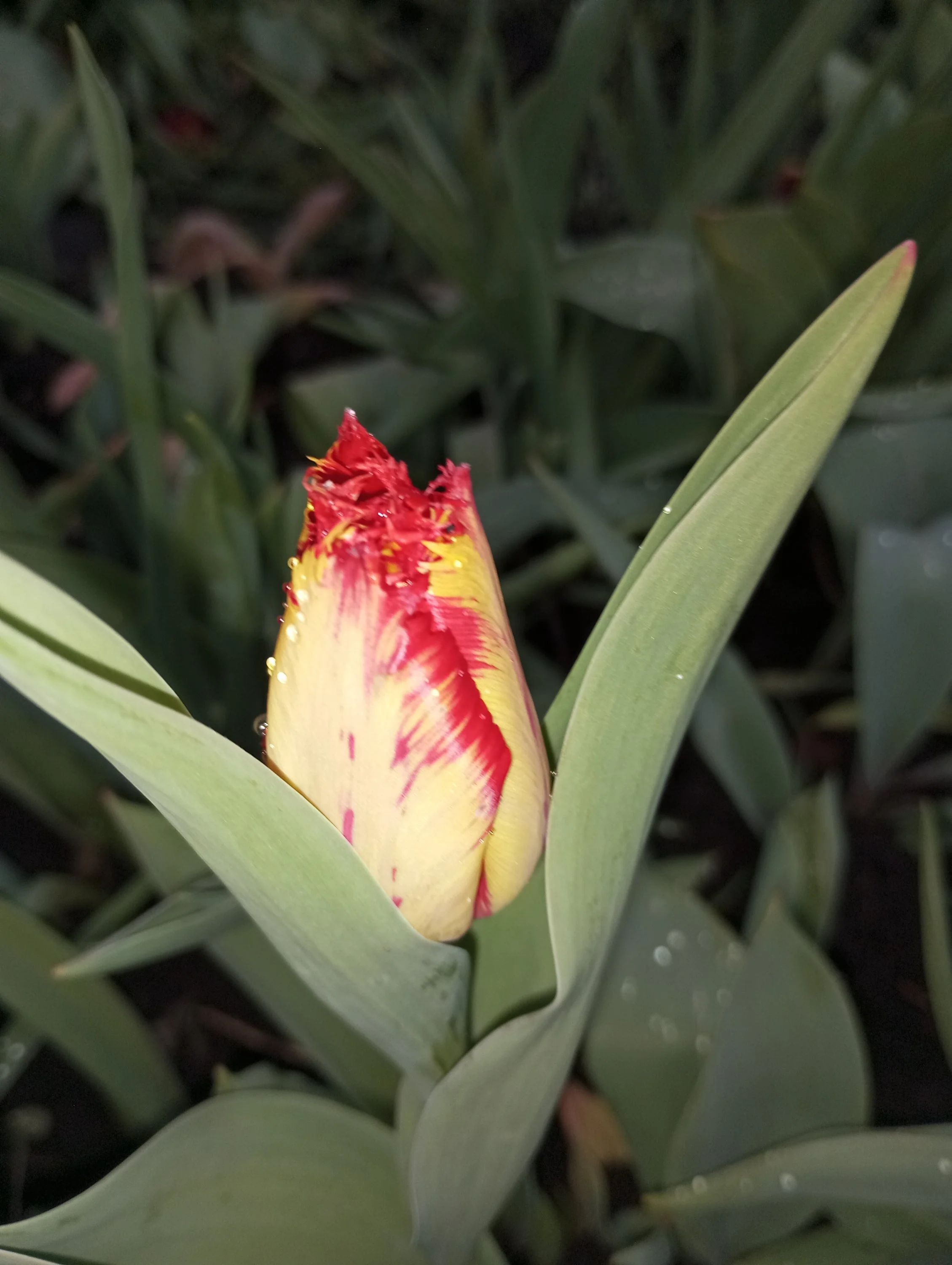 2024-05-08 18-56-50.webp